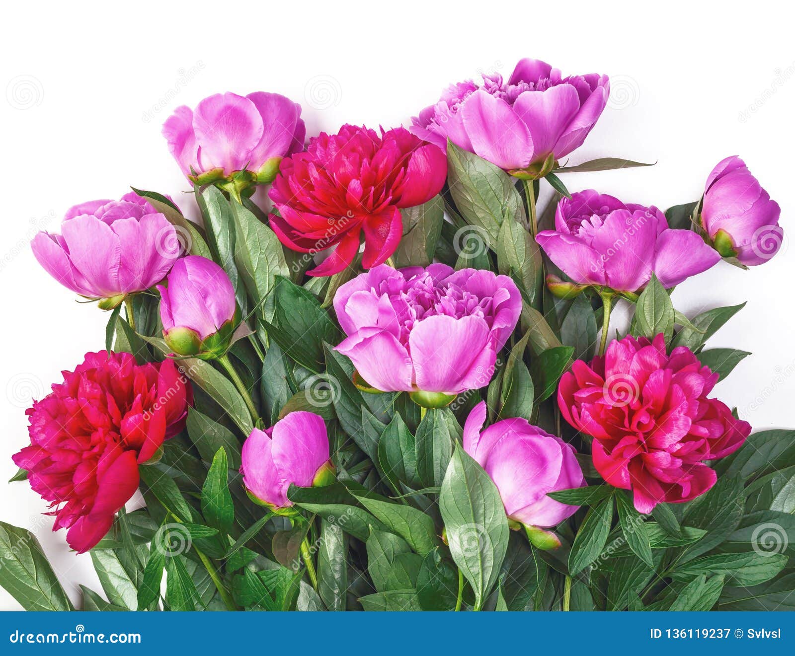 Bouquet of Pink Peonies Isolated on White Background. Flat Lay Stock ...