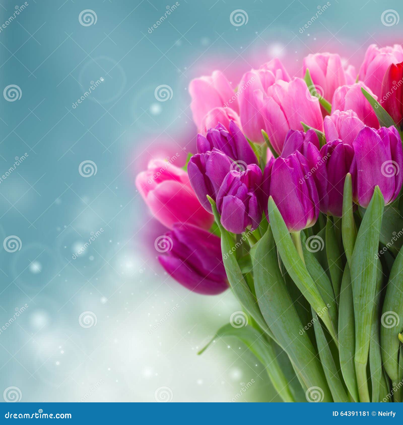 Bouquet of Pink and Purple Tulip Flowers Stock Image - Image of pink ...