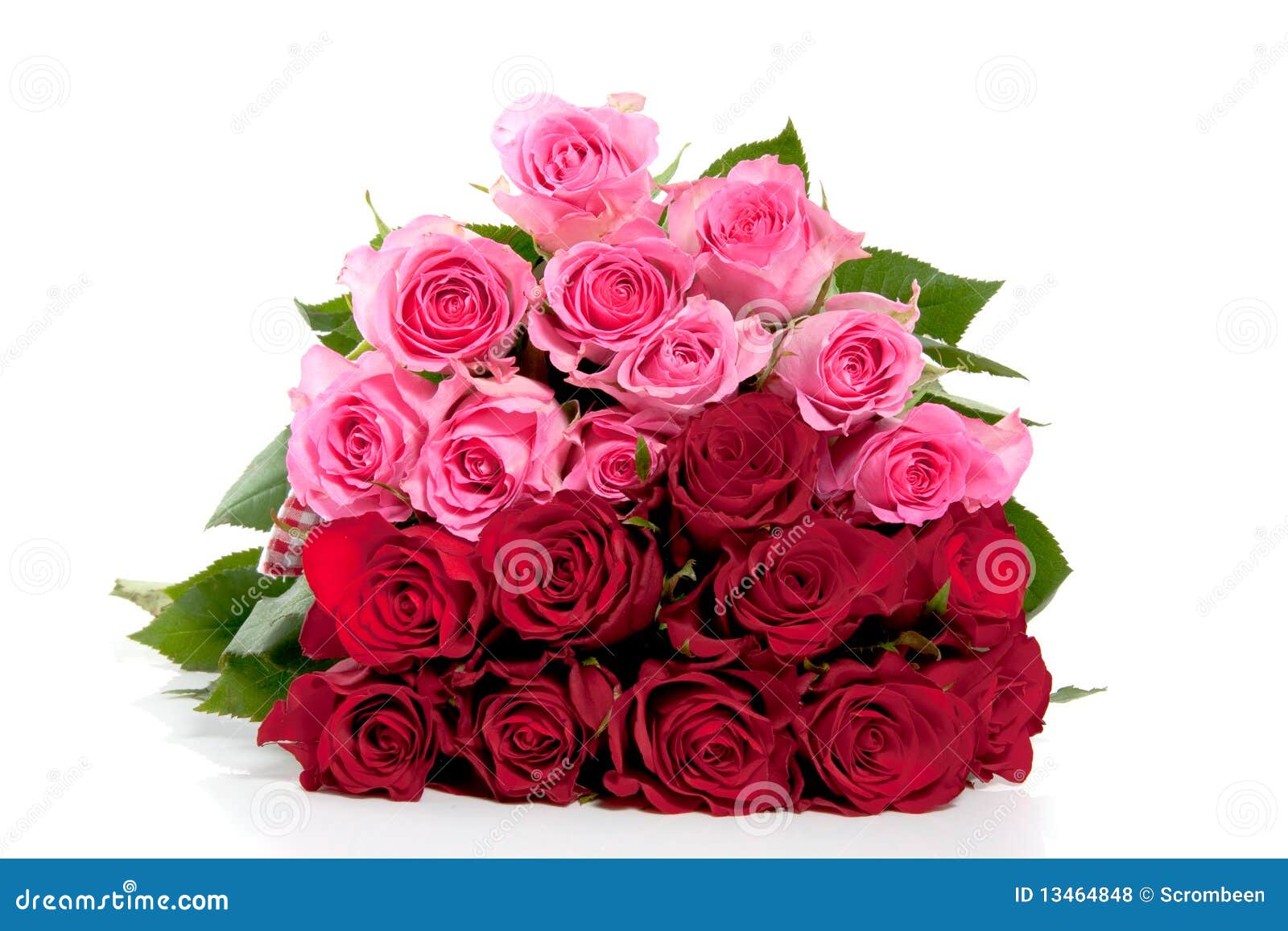A Bouquet of Pink and Red Roses Stock Photo Image of full, mother