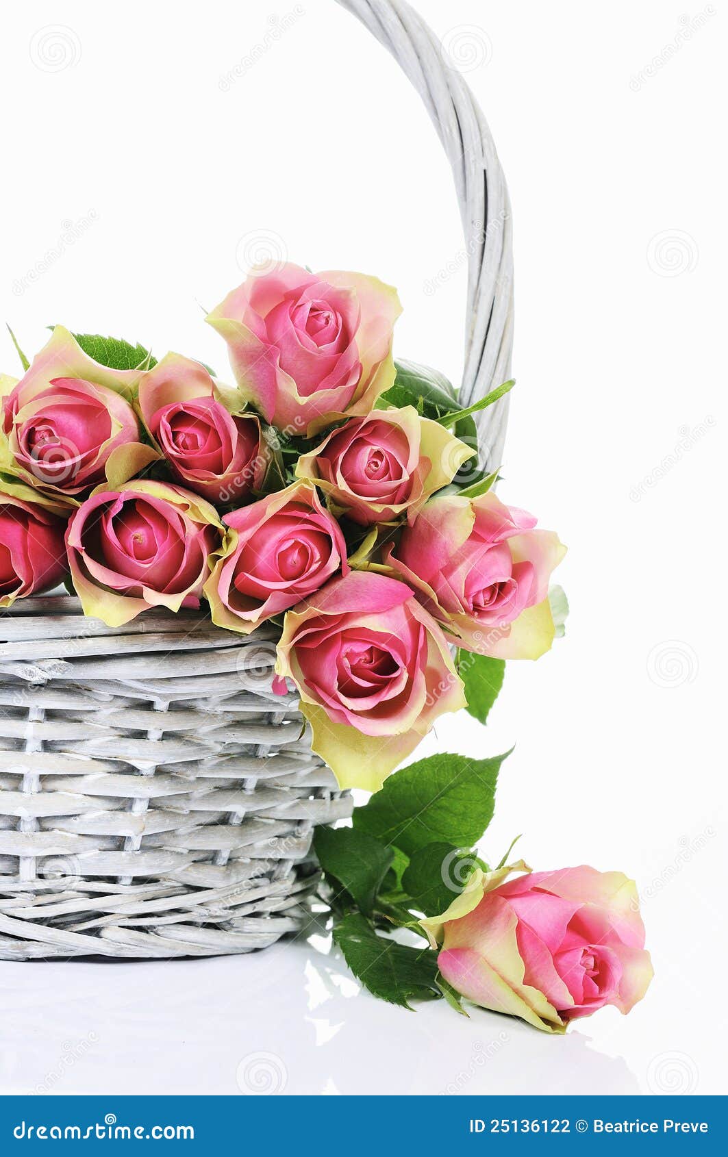 Bouquet of Pink Roses in Basket Stock Photo Image of fresh, floral