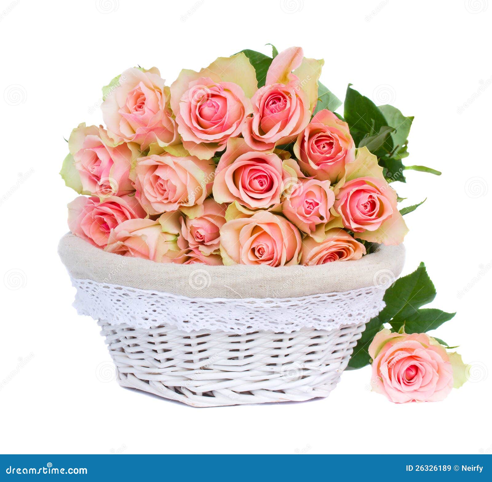 Bouquet of Pink Roses in Basket Stock Image Image of holiday, green