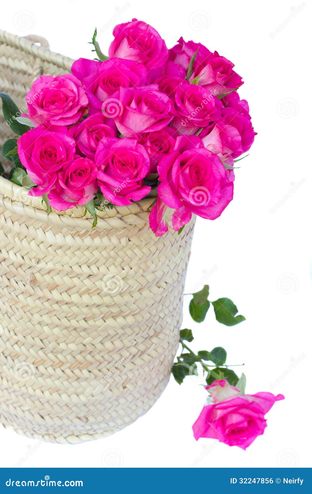Bouquet of Pink Roses in Basket Stock Photo Image of leaf, floral