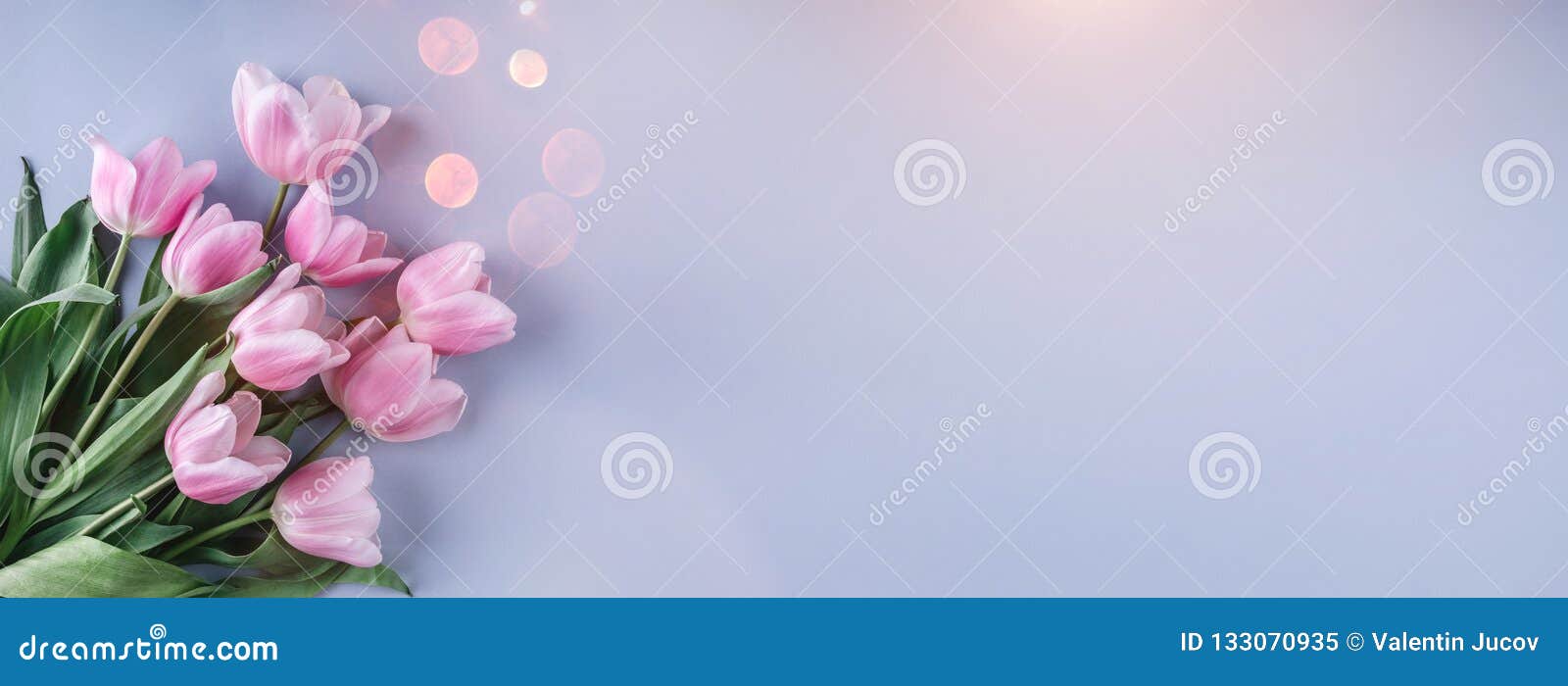 bouquet of pink tulips flowers over light blue background. greeting card or wedding invitation