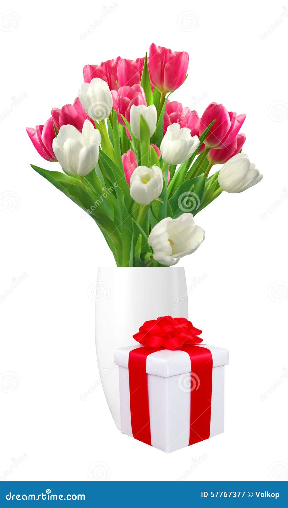 Bouquet of Pink and White Tulips in Vase and Gift Box Isolated Stock