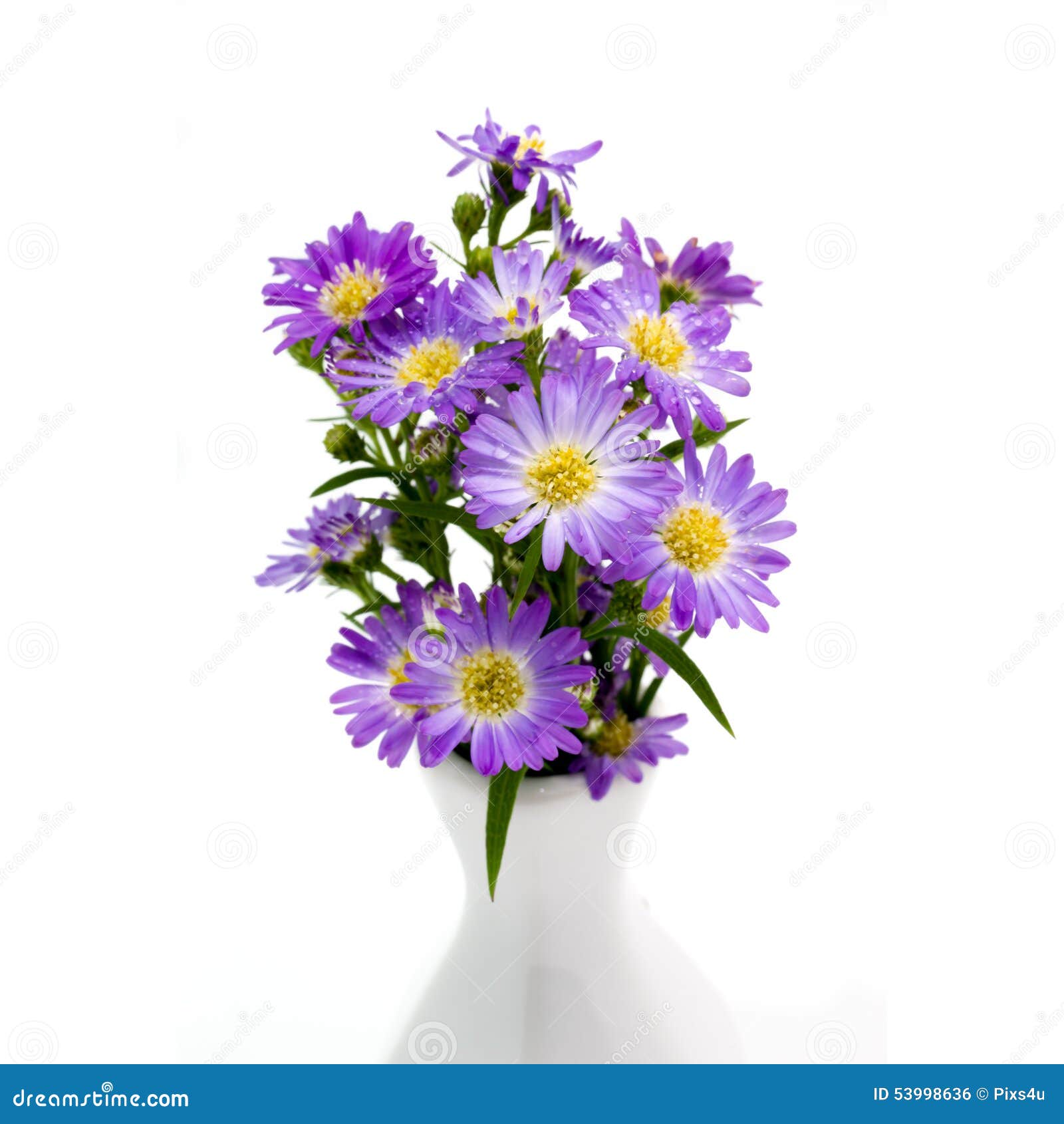 Bouquet Of Purple Scotch Heather Bush Calluna Vulgaris, Erica, Ling, Also Called Ling Plant On