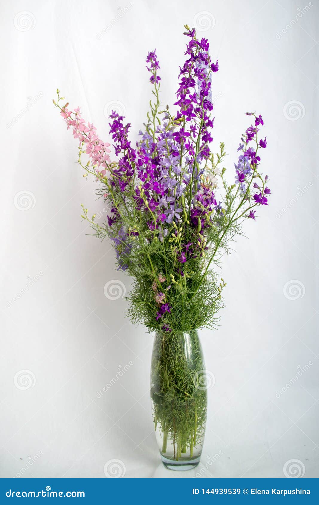 bouquet-purple-wildflowers-white-backgro