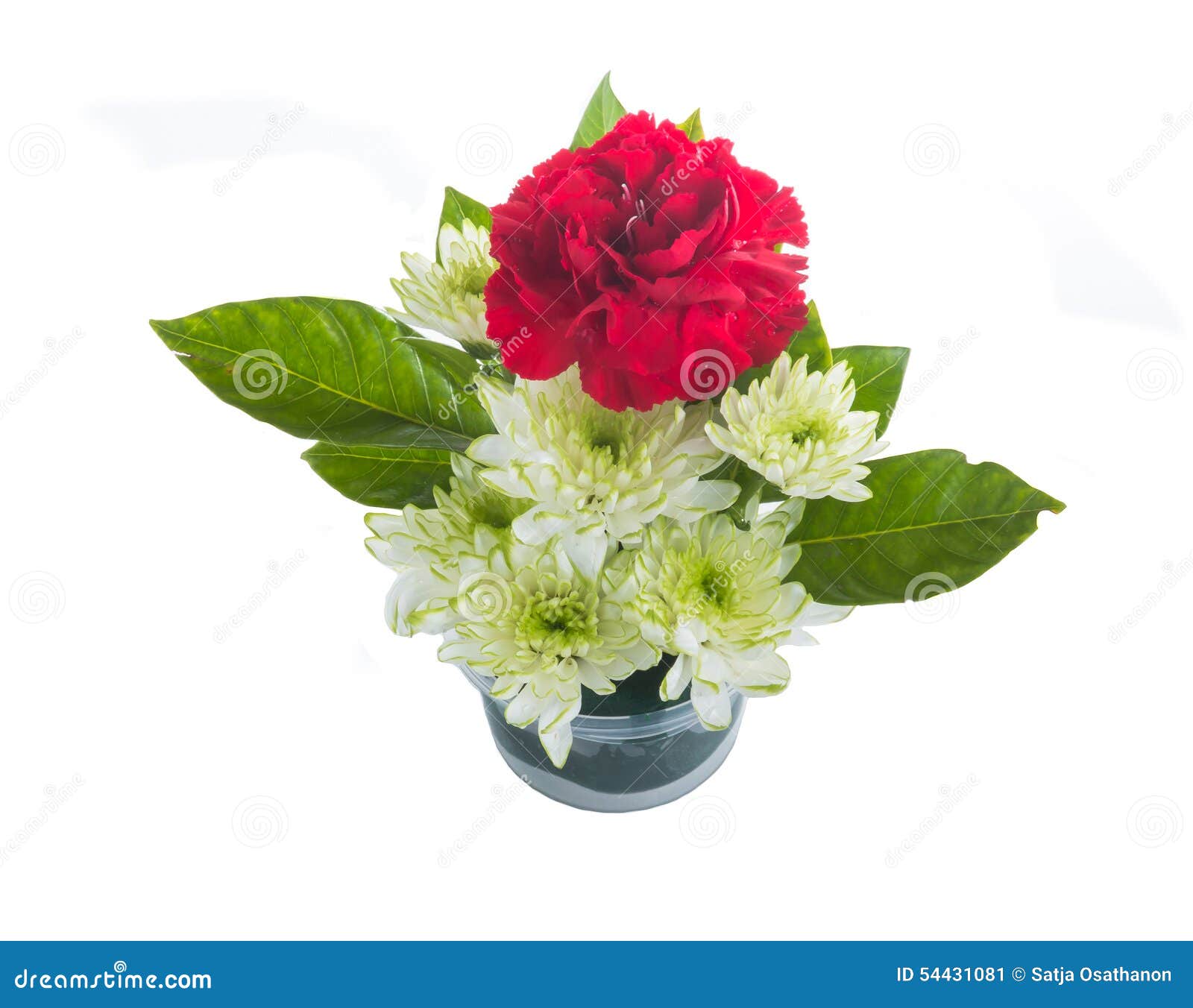 Bouquet of Red Carnations and Chrysanthemum Flower Stock Image Image