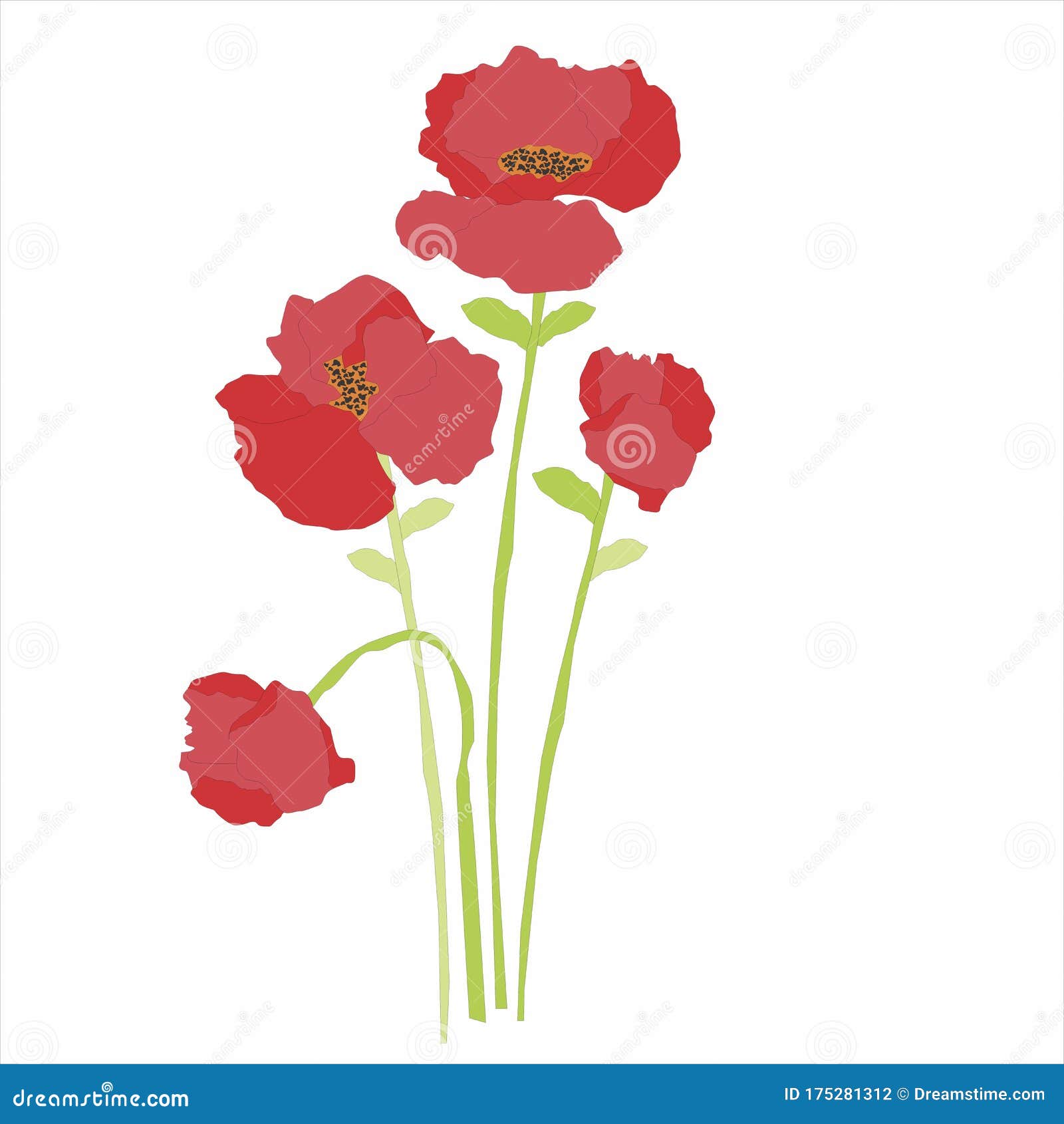 Bouquet of red poppies stock illustration. Illustration of pink - 175281312