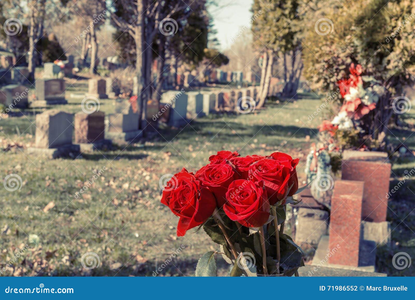 Металлические цветы на кладбище. Розы на кладбище. Букет роз на кладбище. Искусственные розы на кладбище.