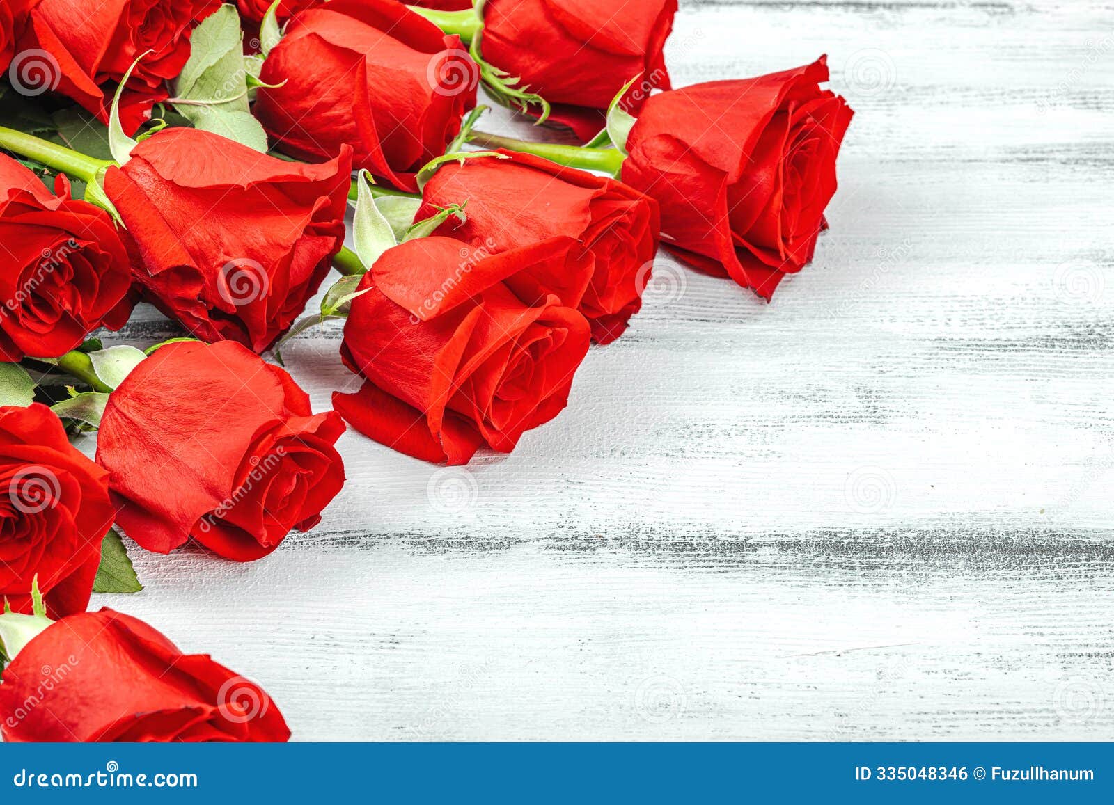 a bouquet of red roses on a white background. blooming flowers, festive concept for mother's day