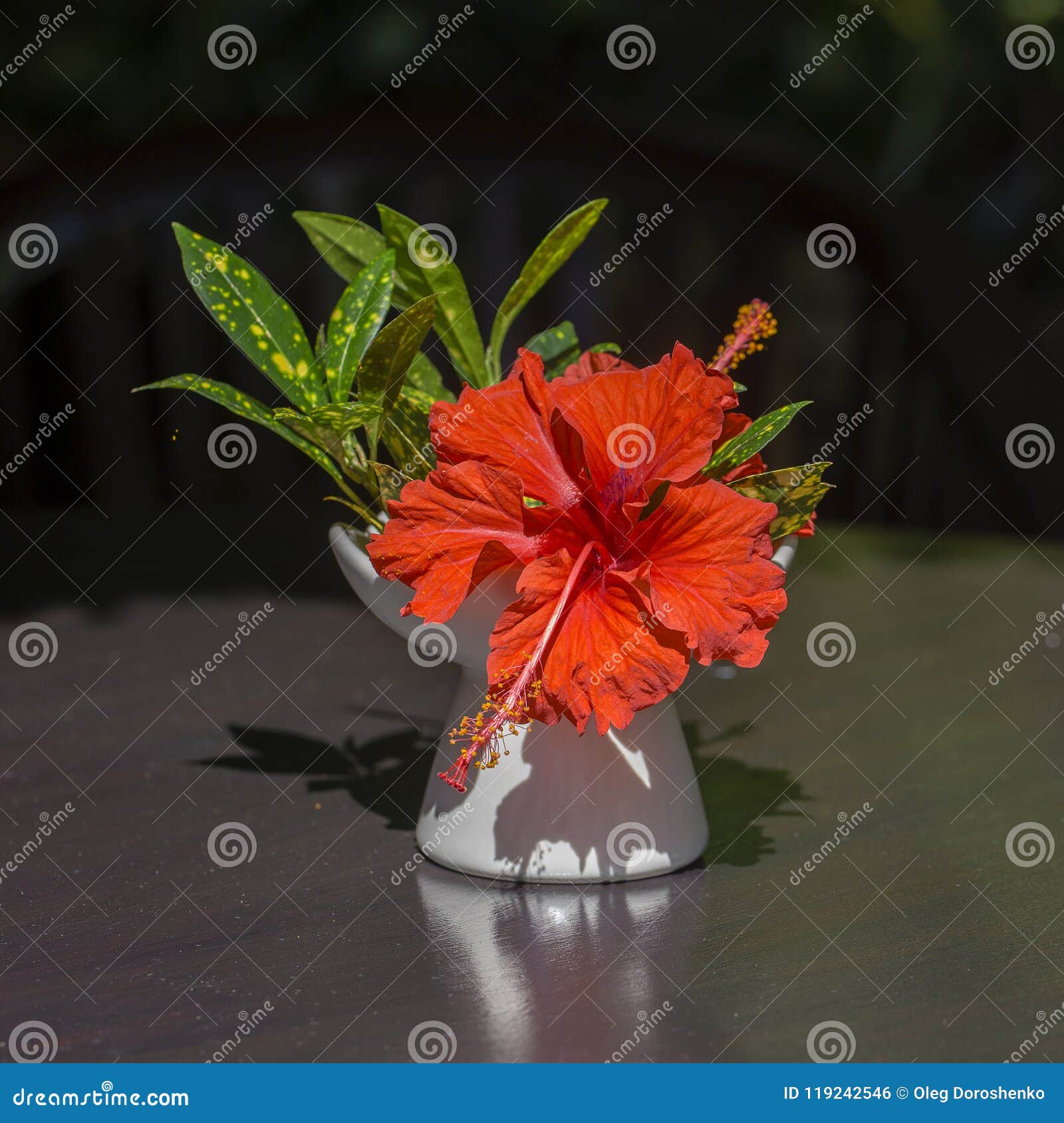 Bouquet Of Red Tropical Flowers In White Ceramic Vase Stands In Wooden Table Bali Indonesia Close Up Stock Photo Image Of Indonesia Interior 119242546