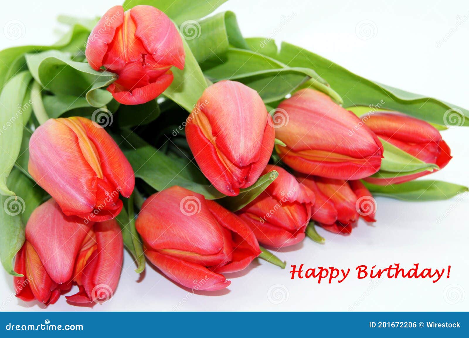 Bouquet of Red Tulips on a White Surface with the Caption Happy