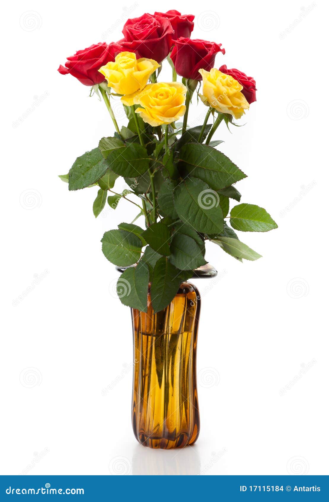 A Bouquet of Red and Yellow Roses Stock Photo Image of happy, bloom