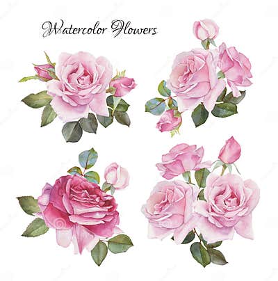 Vector Bouquet of Roses. Flowers Set of Hand Drawn Watercolor Roses ...