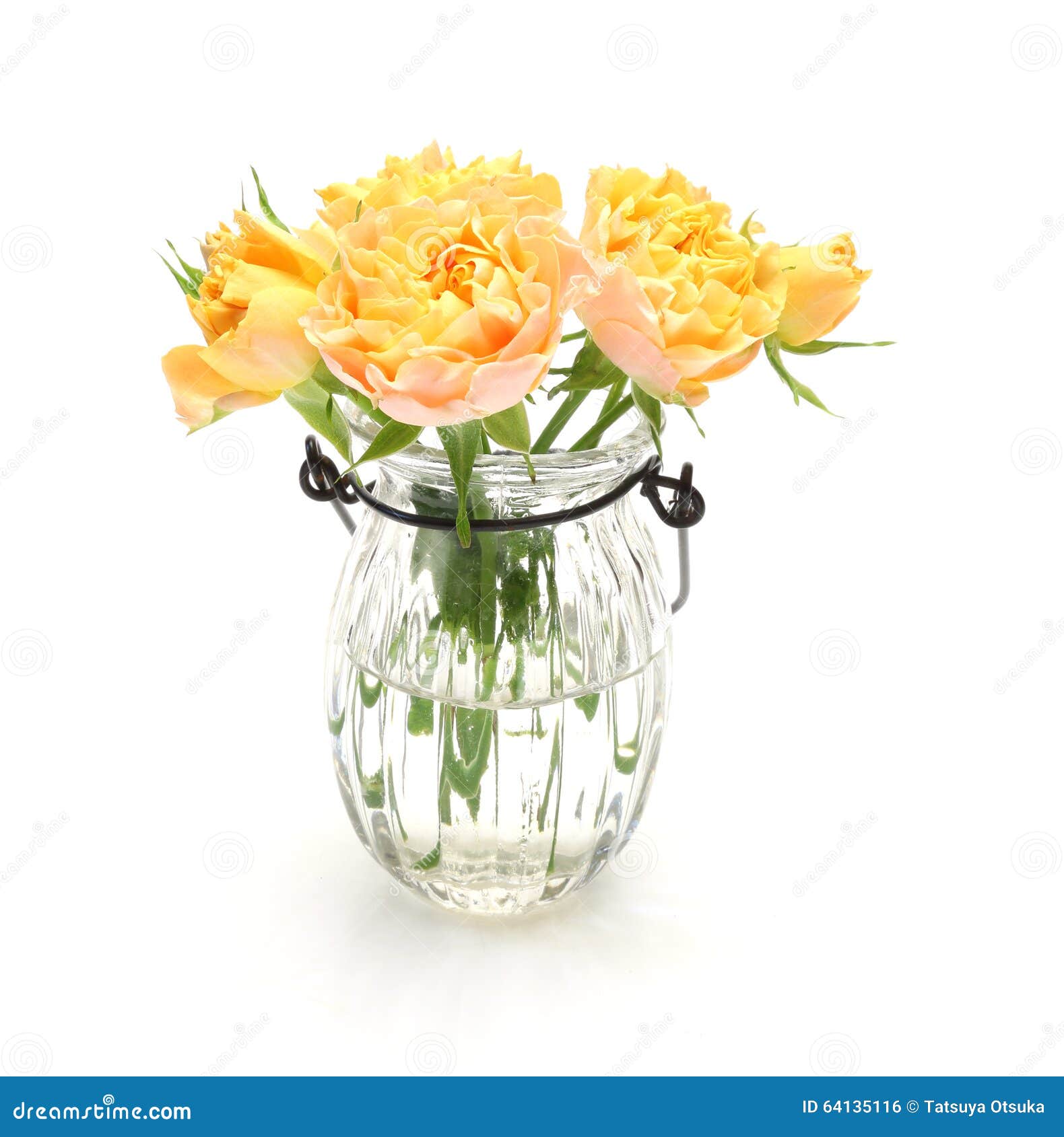 Bouquet of Roses in a Glass Bottle Stock Photo Image of glass, orange