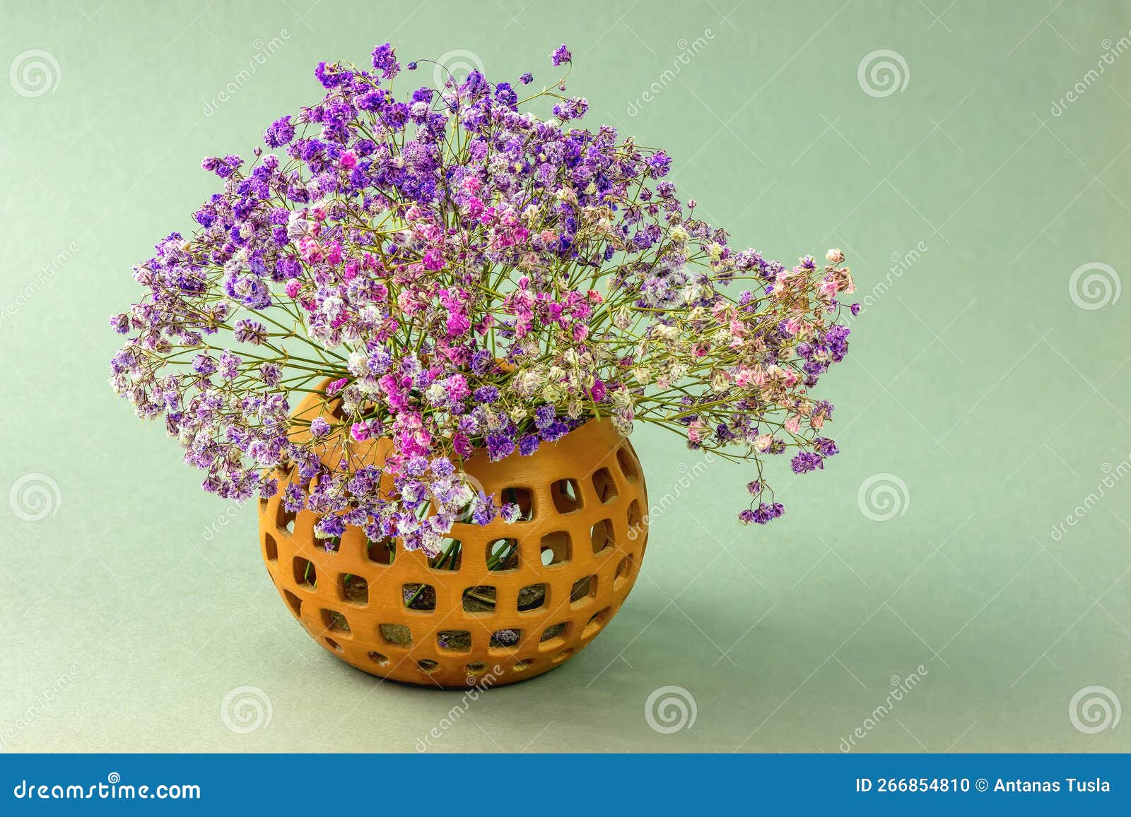 A Bouquet of Small Flowers with Flowers Stock Photo Image of flora