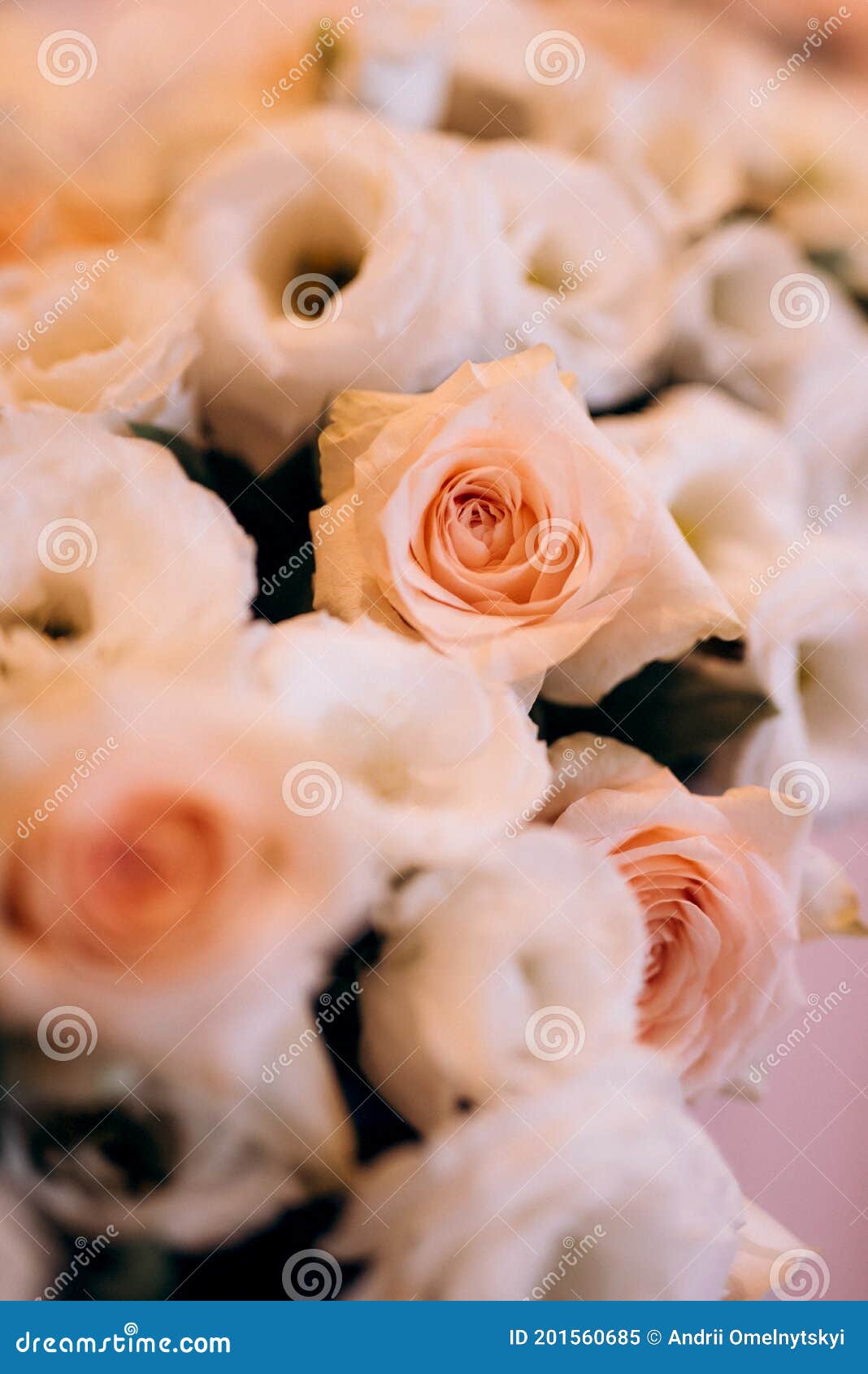 Bouquet of Soft Pink Roses in Decor Stock Image Image of white