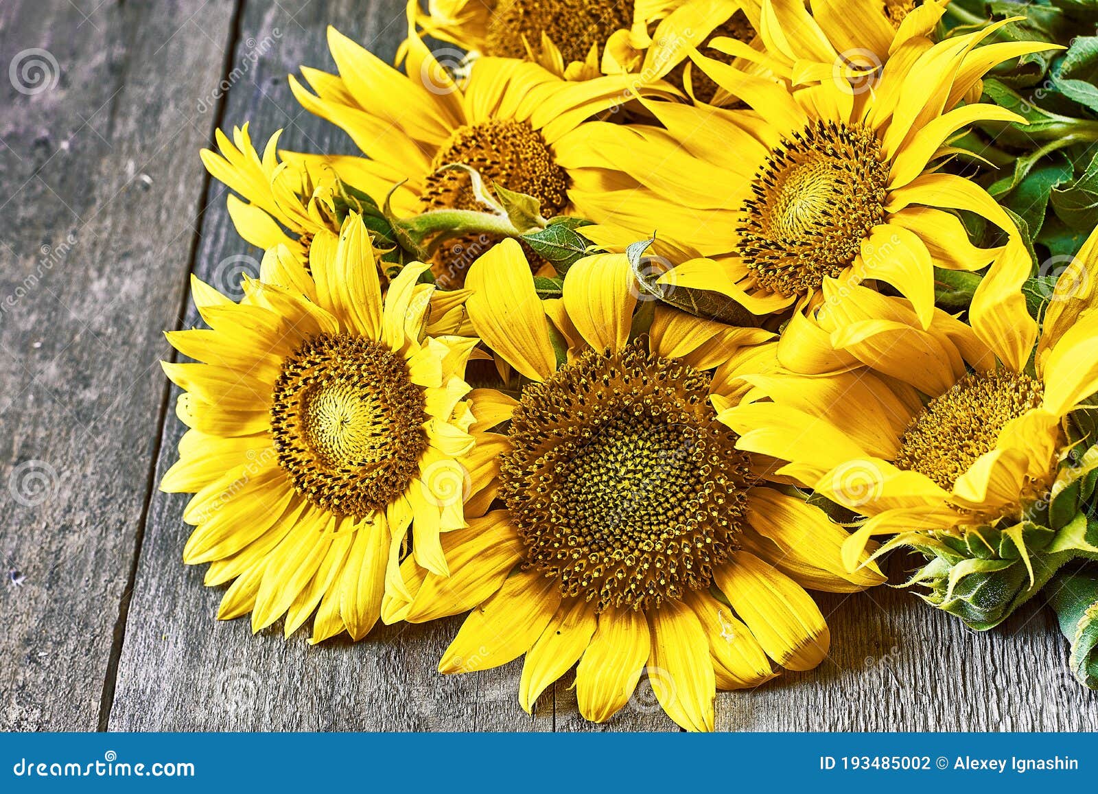 A bouquet of sunflowers as a sign of the end of summer