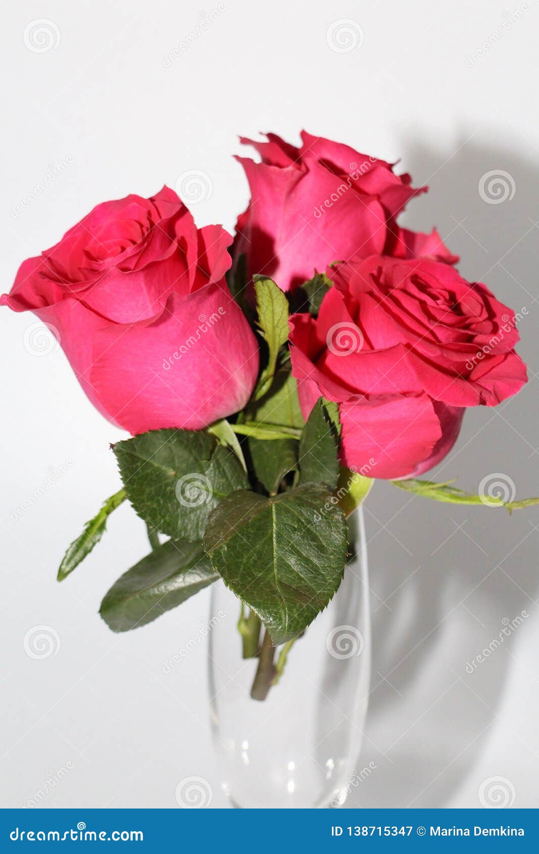 A Bouquet of Three Red Roses Lies on a White Background Stock Image ...