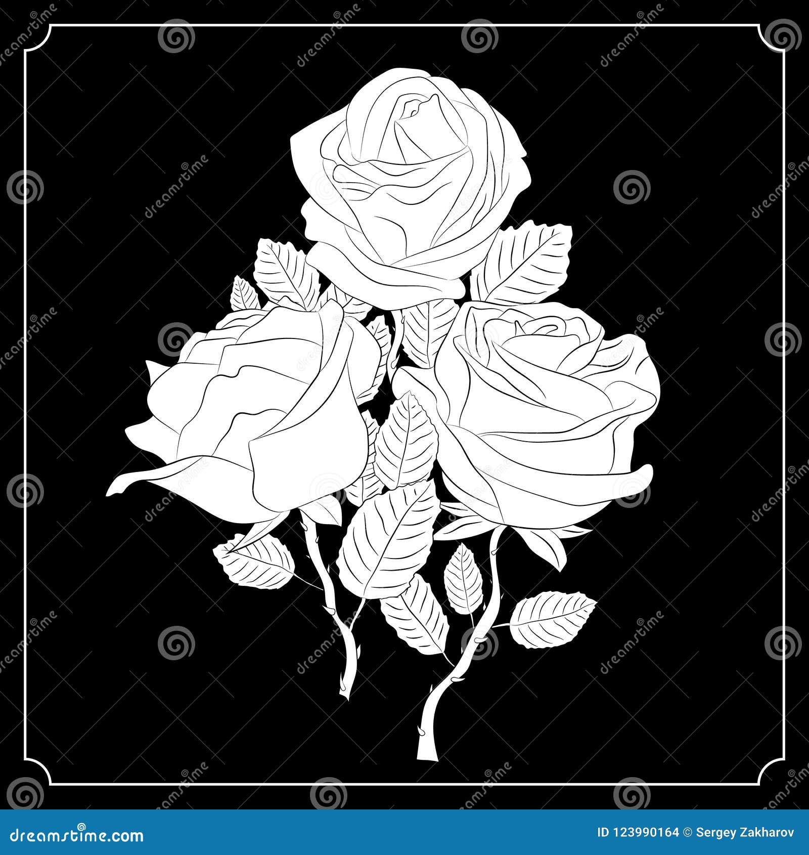 My Image 7