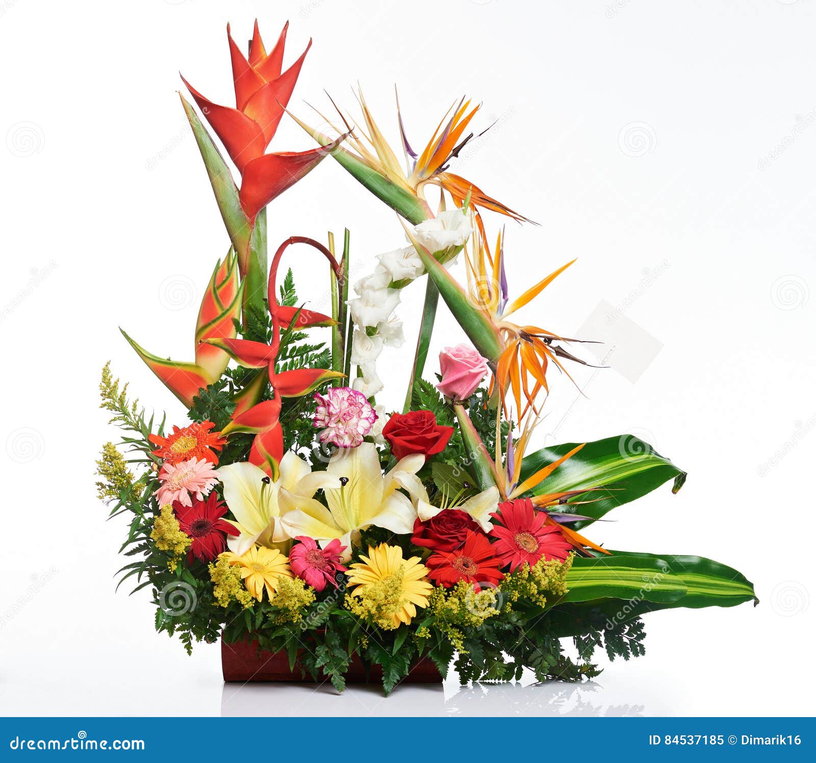 Bouquet Tropical Lumineux De Fleur Image stock - Image du agencement,  éléments: 84537185