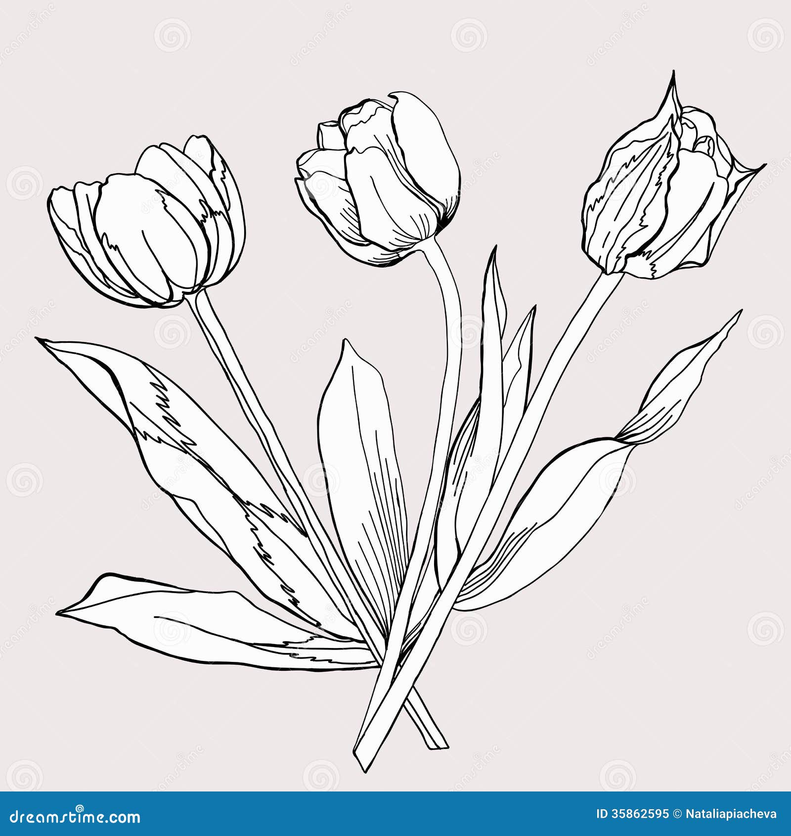 Bouquet Of Tulip.Sketch Black And White. Royalty Free Stock Photo ...