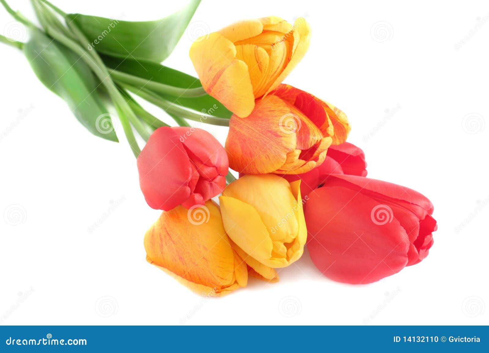 Bouquet of tulips stock photo. Image of plant, arrangement - 14132110