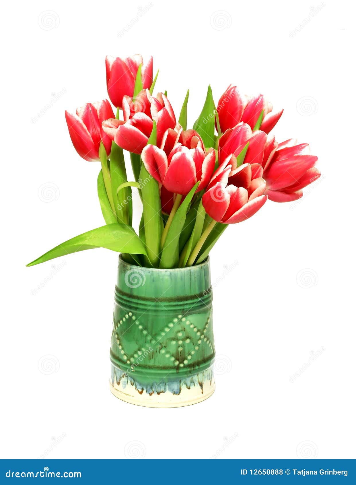 Bouquet of Tulips in Ceramic Vase Isolated Stock Photo Image of