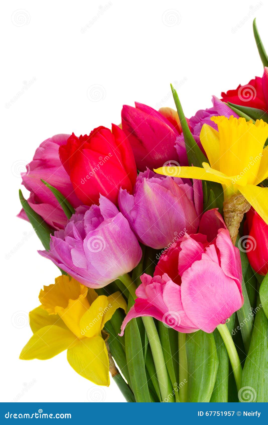 Bouquet Of Tulips And Daffodils Stock Image - Image of blossom, many ...