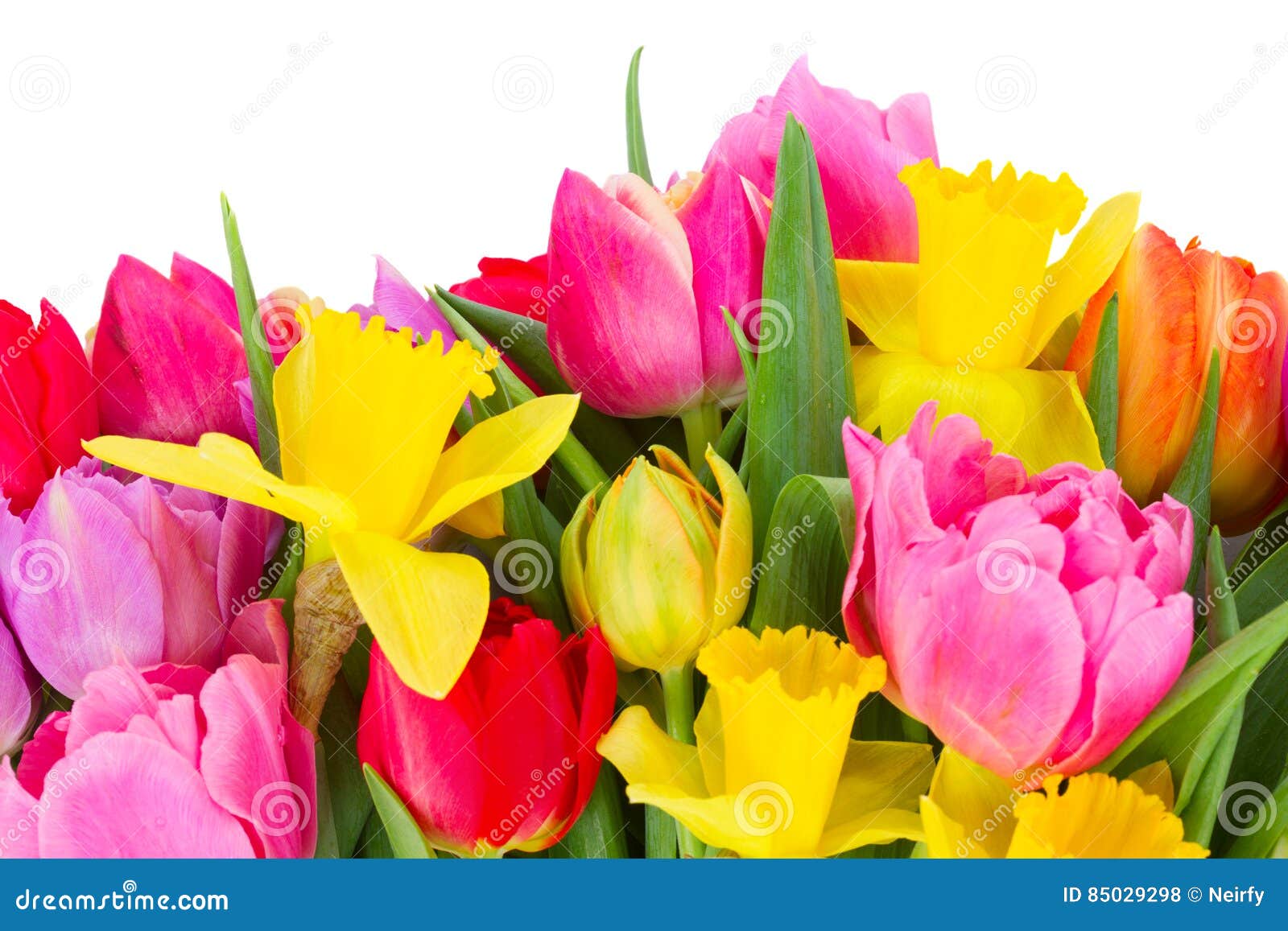 Bouquet of Tulips and Daffodils Stock Photo - Image of flower, spring ...