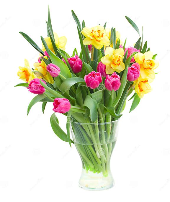 Bouquet of Tulips and Daffodils in Vase Stock Image - Image of isolated ...