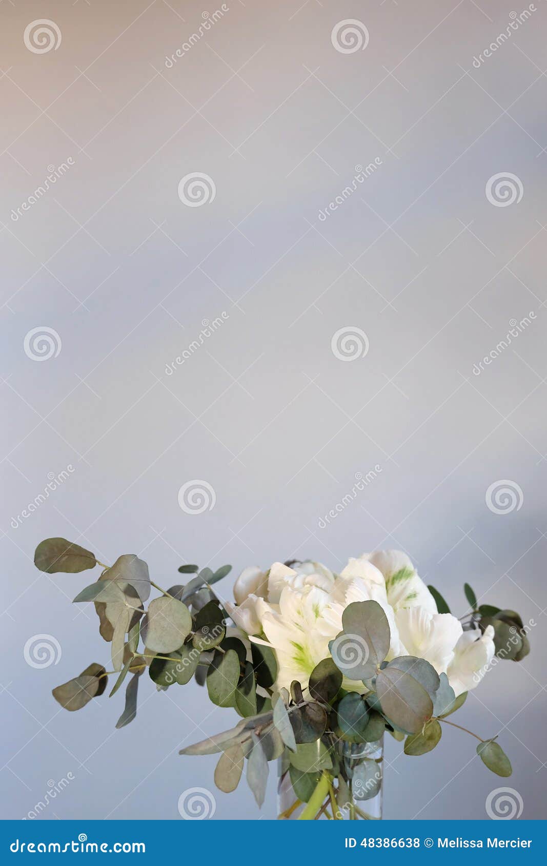 Bouquet of Tulips and Eucalyptus Stock Photo Image of flora, details