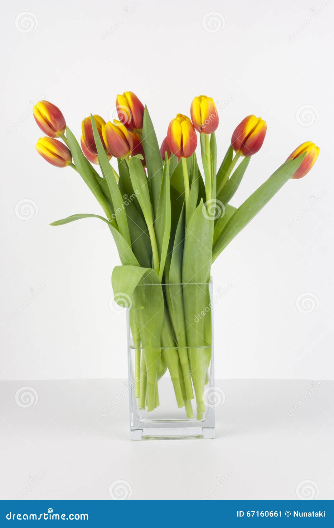 Нужно ли подрезать тюльпаны в вазе. Подрезка тюльпанов в вазе. Как подрезать тюльпаны в вазе. Как подрезать тюльпаны в вазу. Надо ли подрезать тюльпаны в вазе.