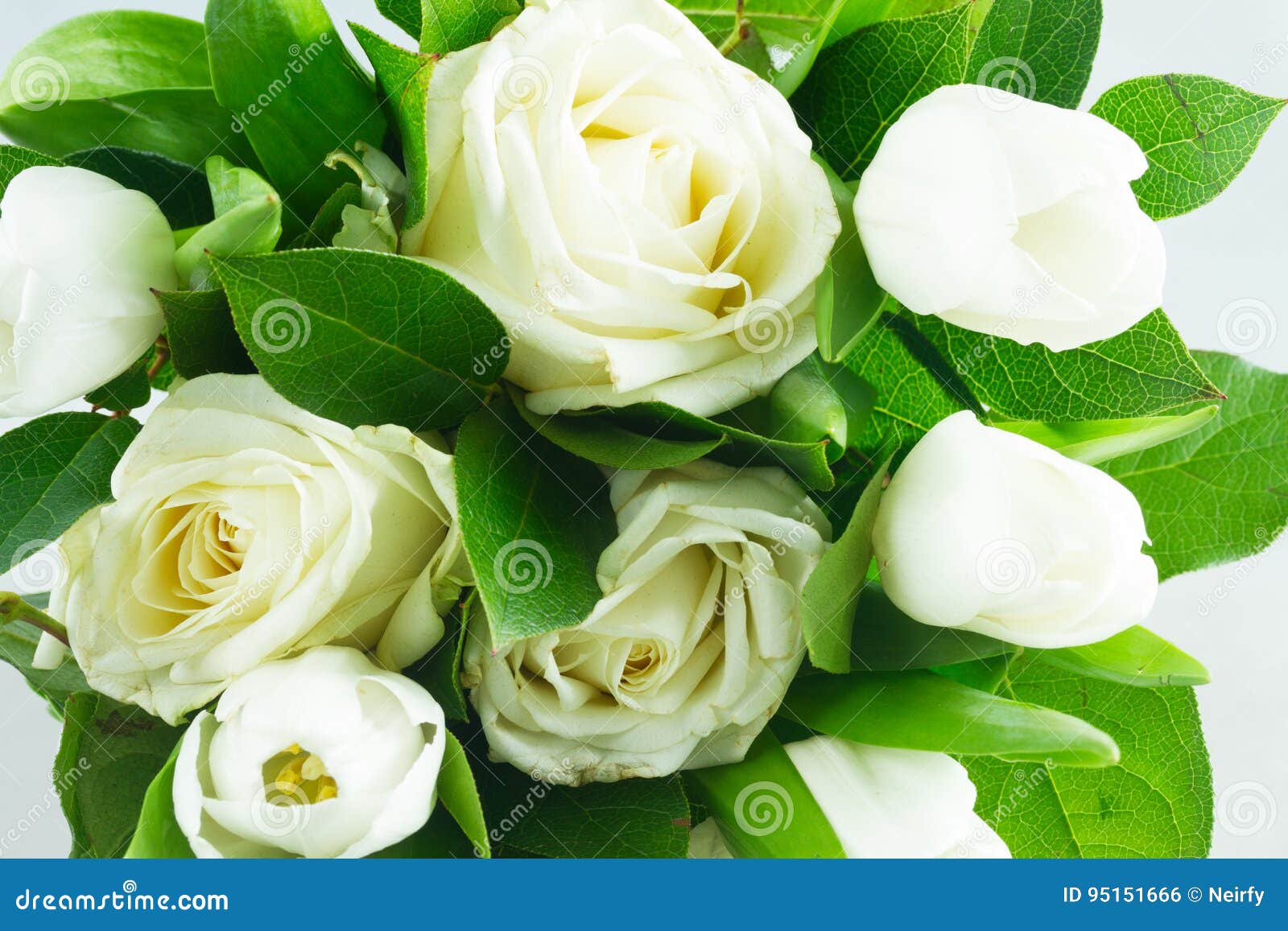 Bouquet with Tulips and Roses Stock Photo Image of romantic, natural