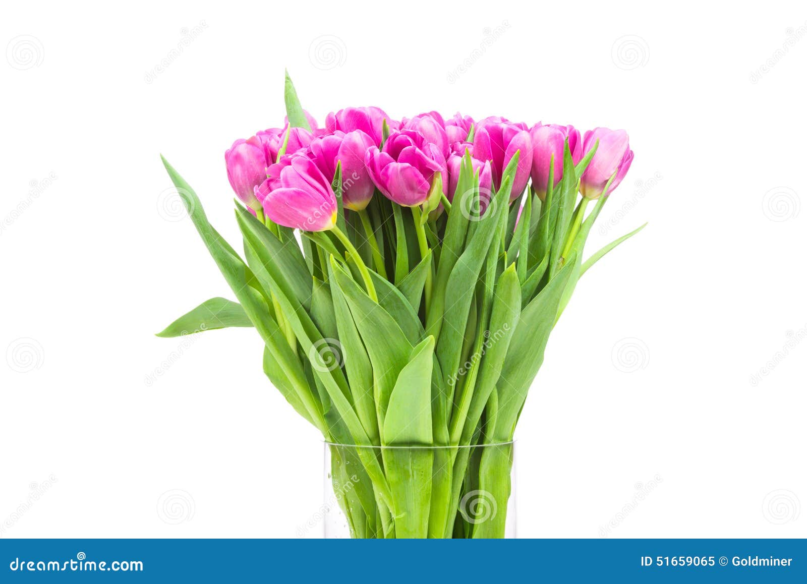 Bouquet of Tulips in the Vase Stock Image Image of blooming, color