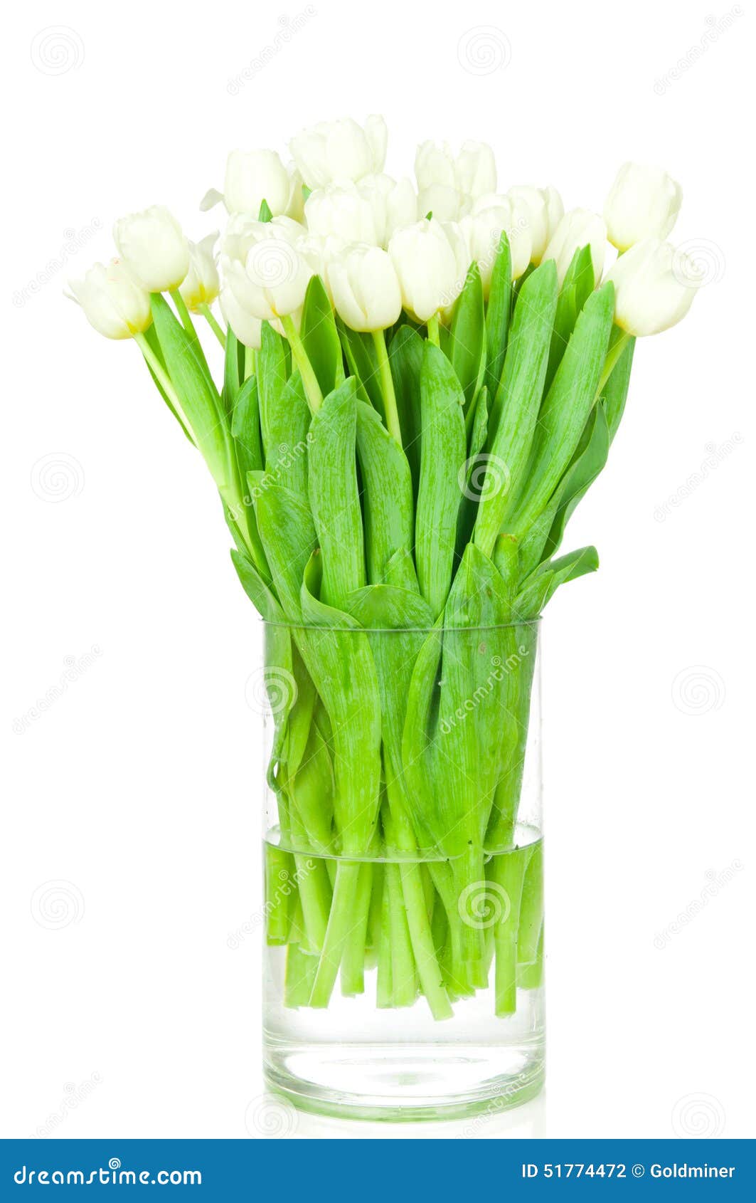 Bouquet of Tulips in the Vase Stock Photo Image of freshness, leaf 51774472