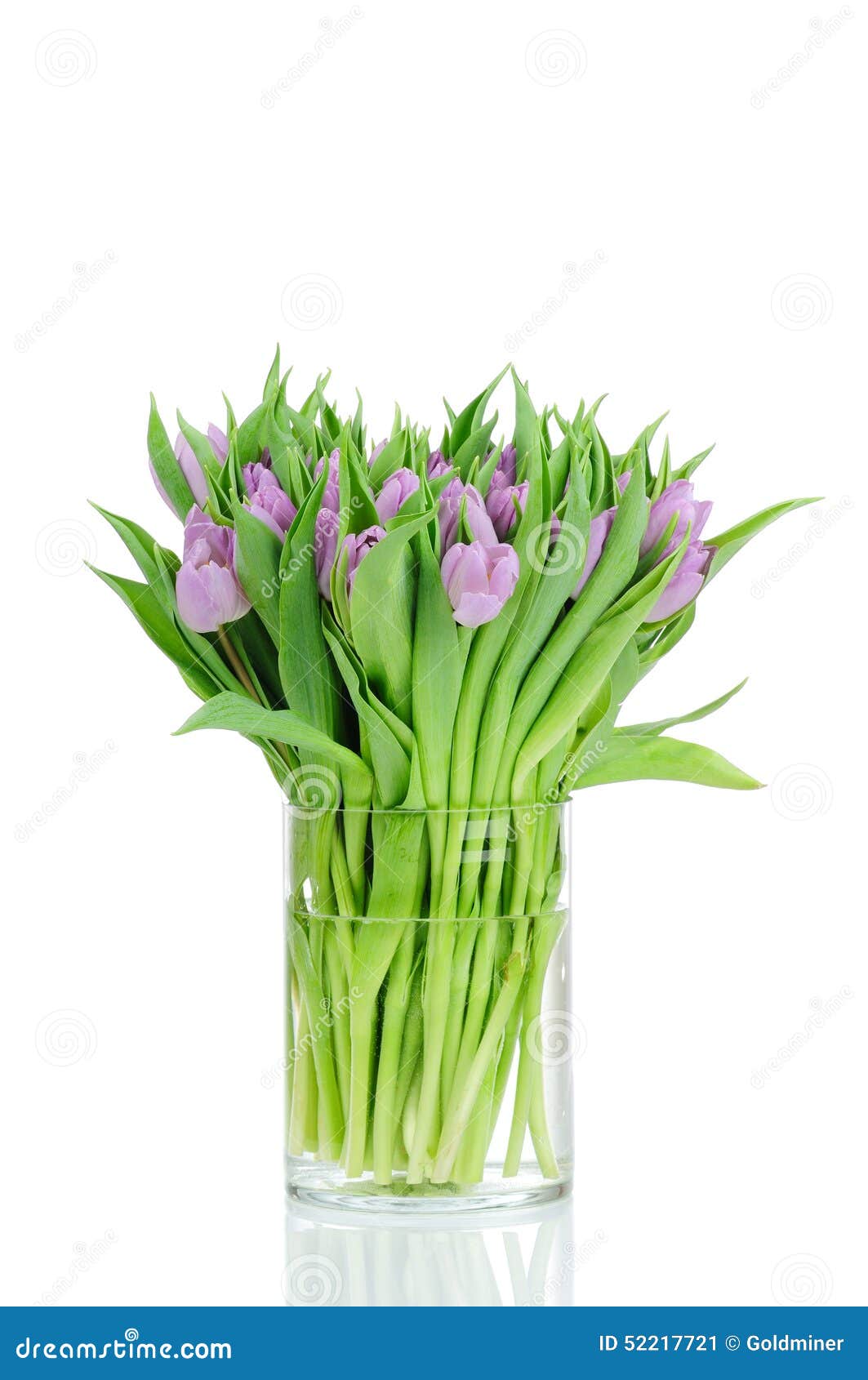 Bouquet of Tulips in the Vase Stock Image Image of freshness, copy 52217721