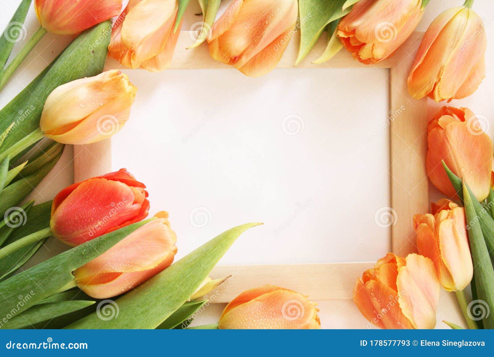 Download Bouquet Of Tulips And White Mockup Frame On White Background. Easter Or Birth Day Greeting Mock ...