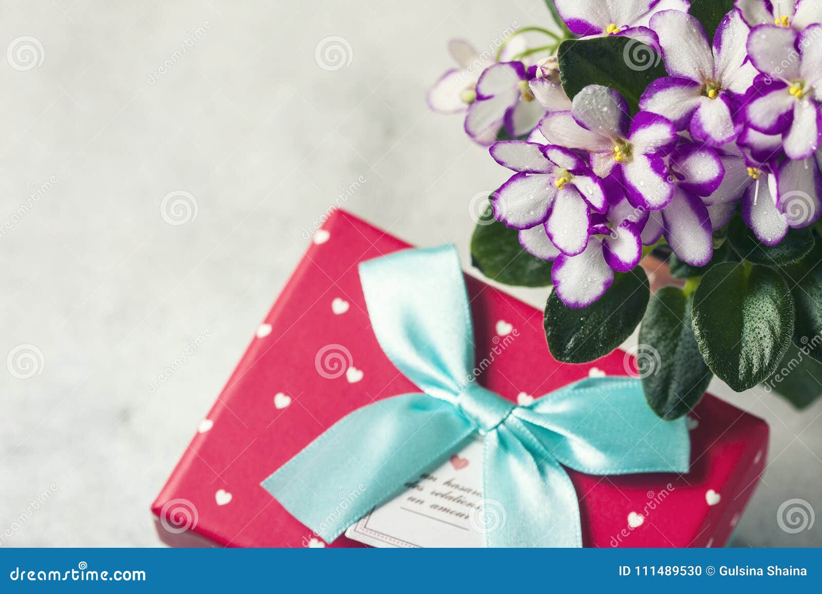 Bouquet Of Violet With Gift Box On A White Background. Stock Photo