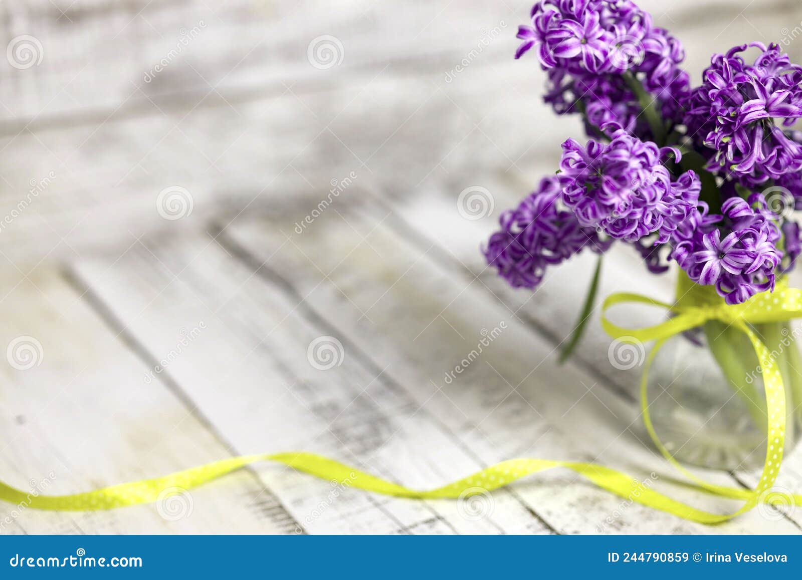bouquet violet hyacinth in the vase. easter greeting card template.