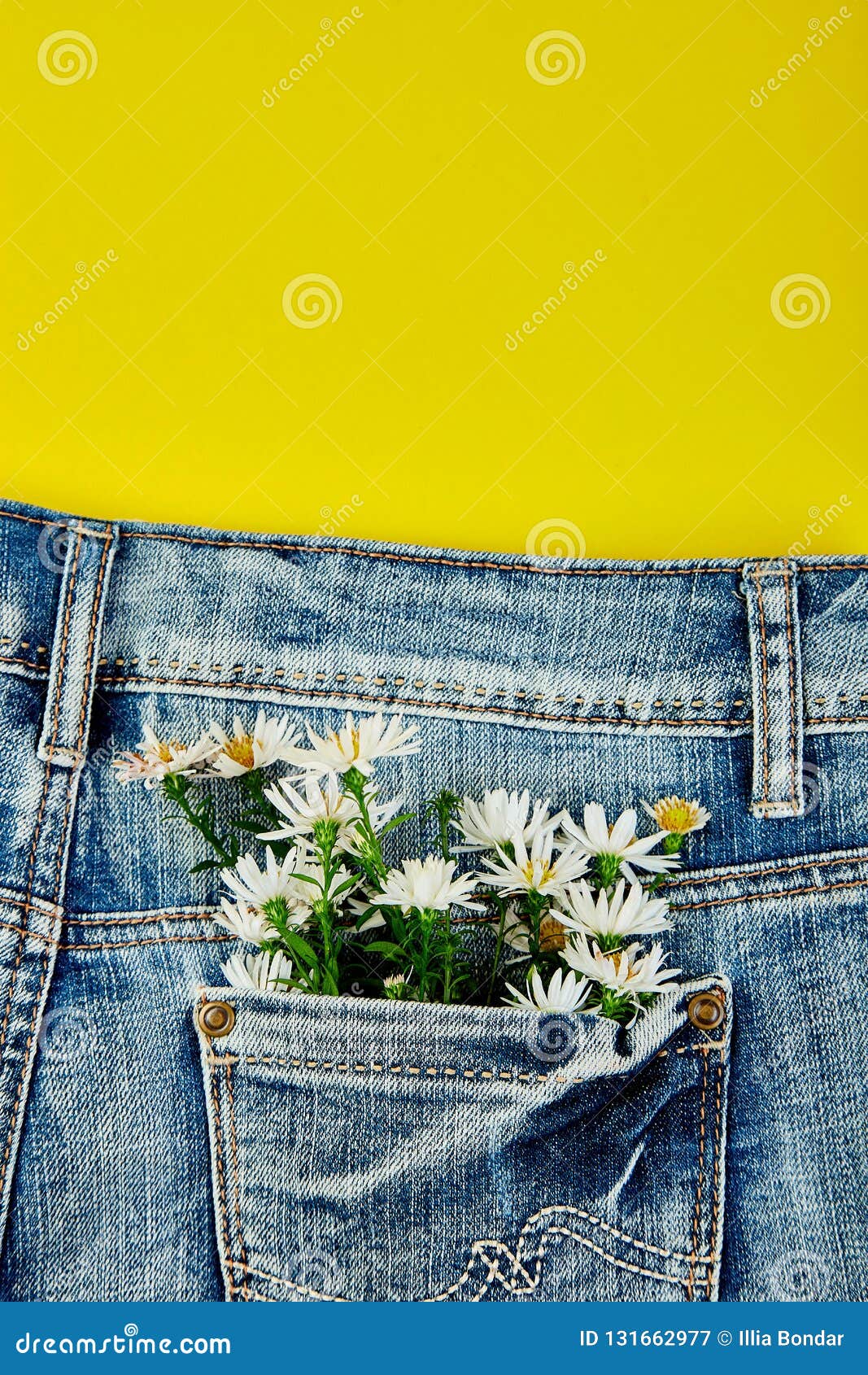 Bouquet of White Flower in the Pocket of a Jeans on Yellow Background ...