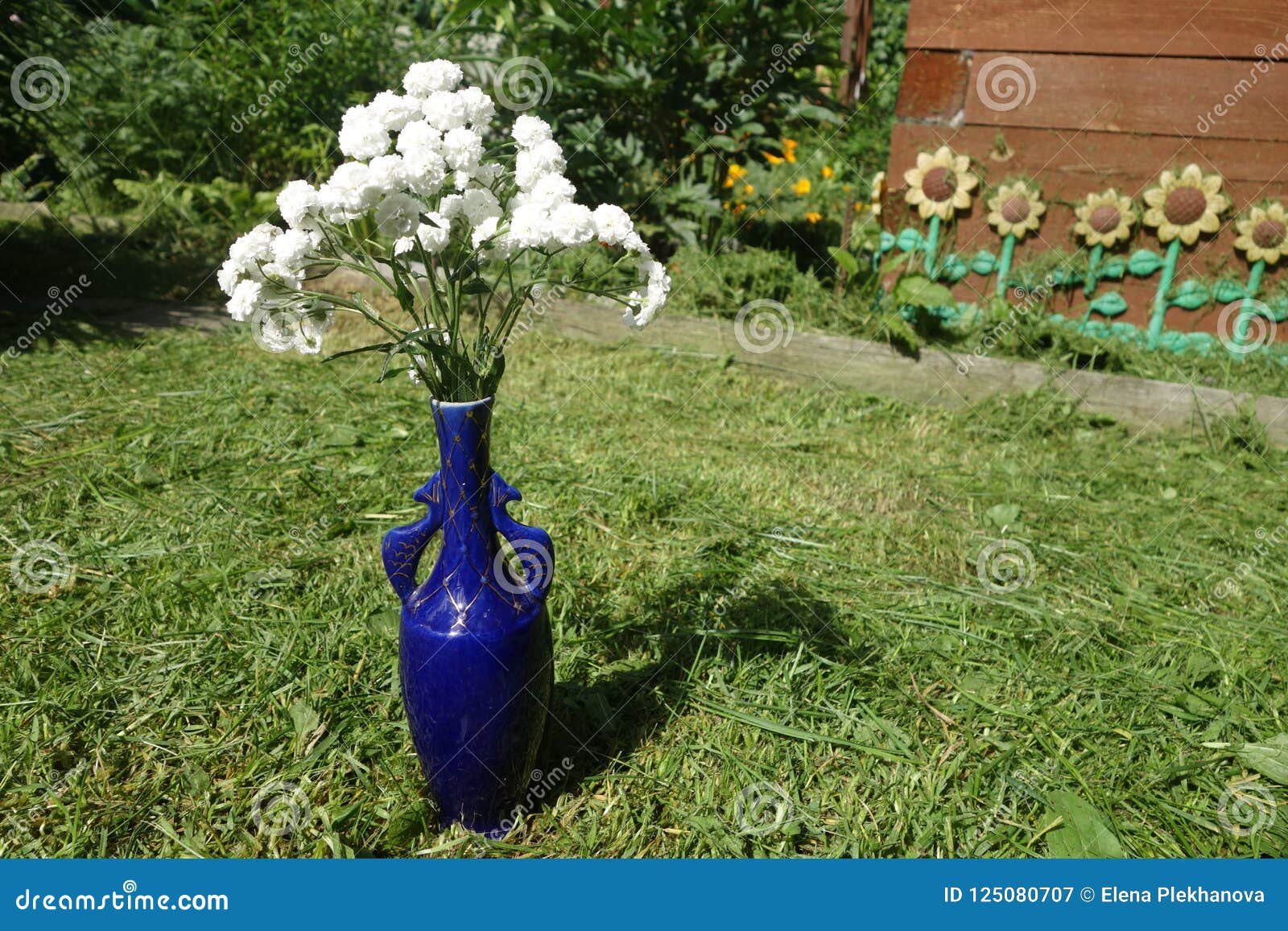 A Bouquet of White Flowers in a Blue Vase Stock Image Image of small