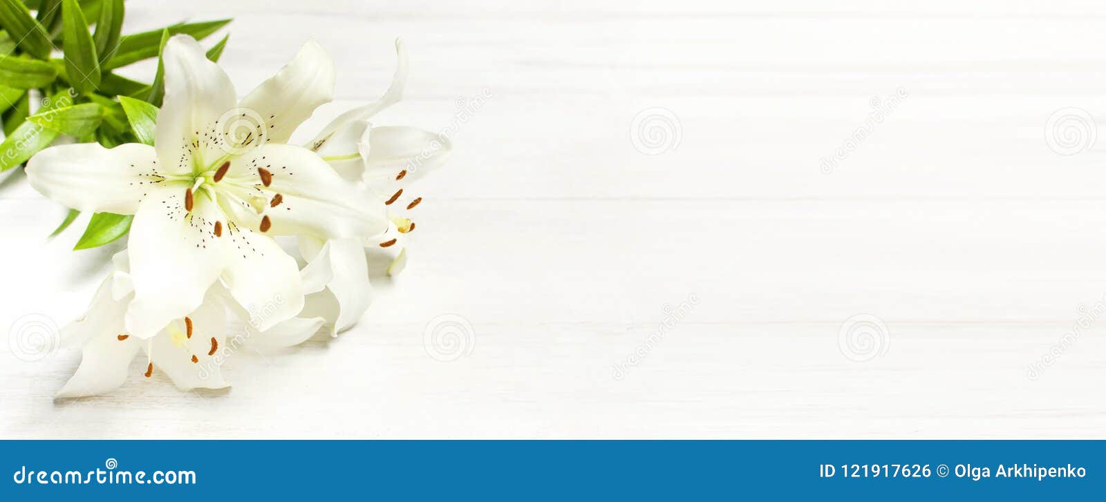 bouquet of white lilies on a white wooden background top view. flowers lily beautiful bouquet white flowers