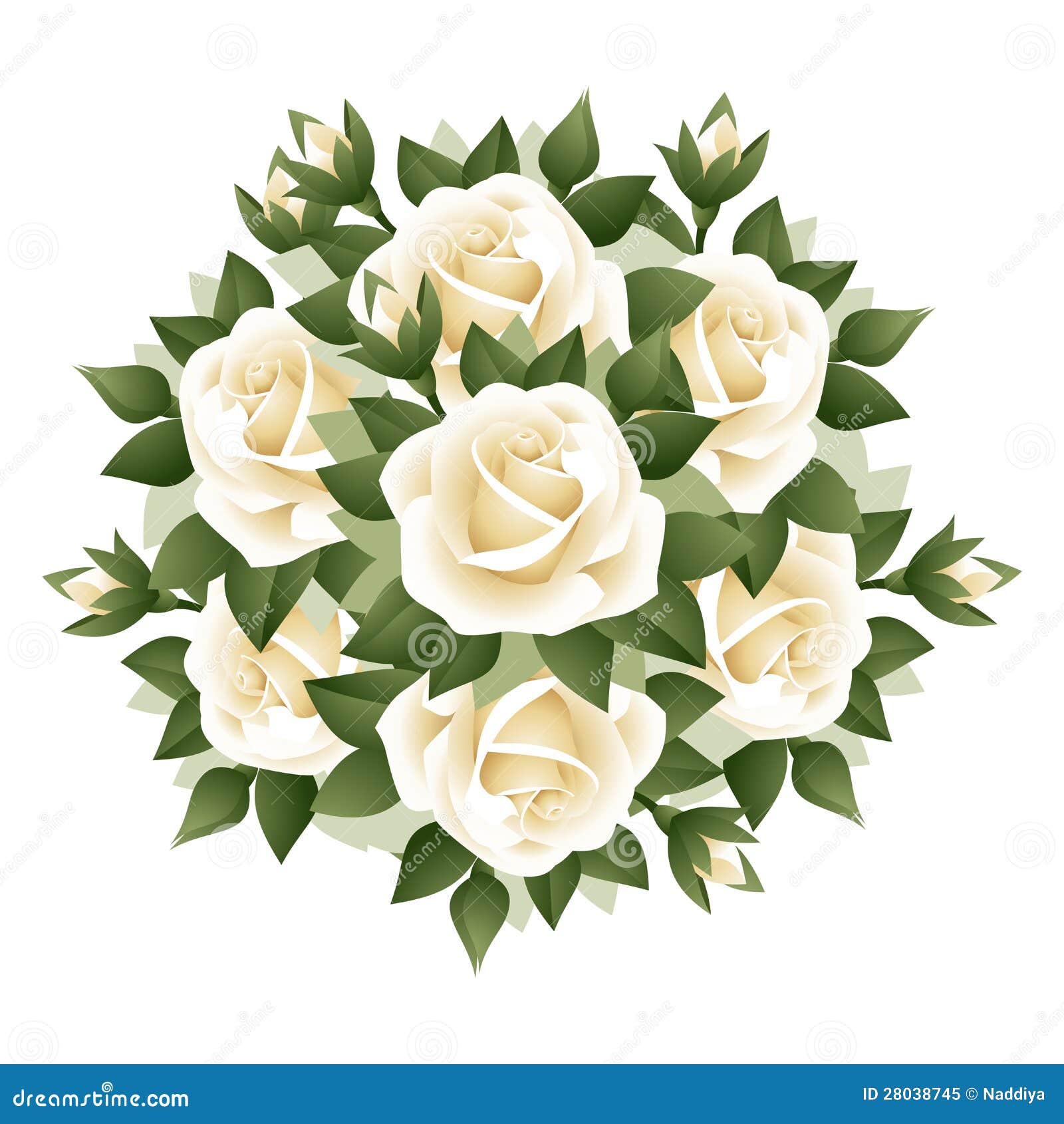 Seven Roses Isolated White Stock Illustrations – 43 Seven Roses Isolated  White Stock Illustrations, Vectors & Clipart - Dreamstime