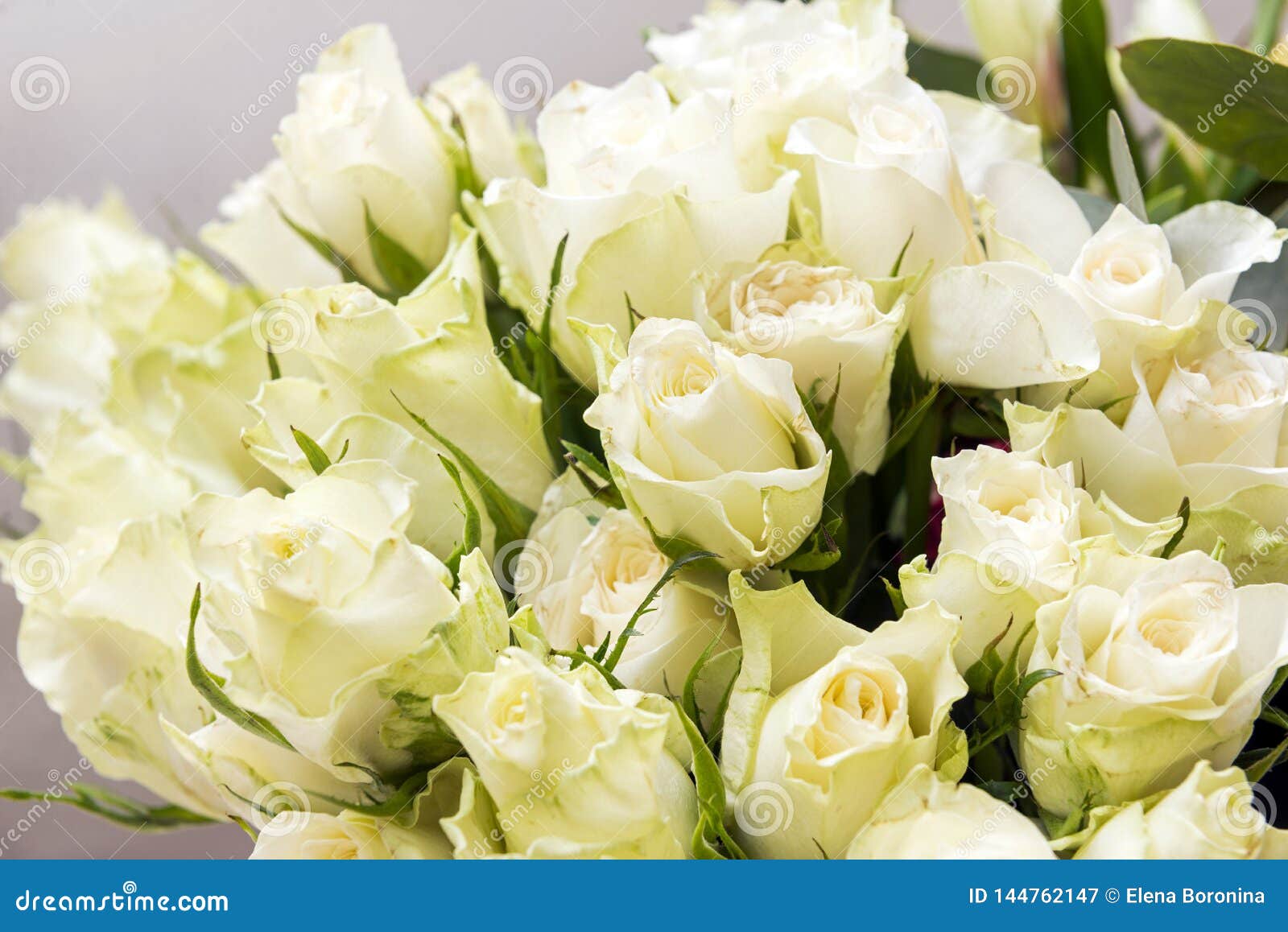 Bouquet of White Roses, Many Flowers Stock Image Image of plants, holiday 144762147