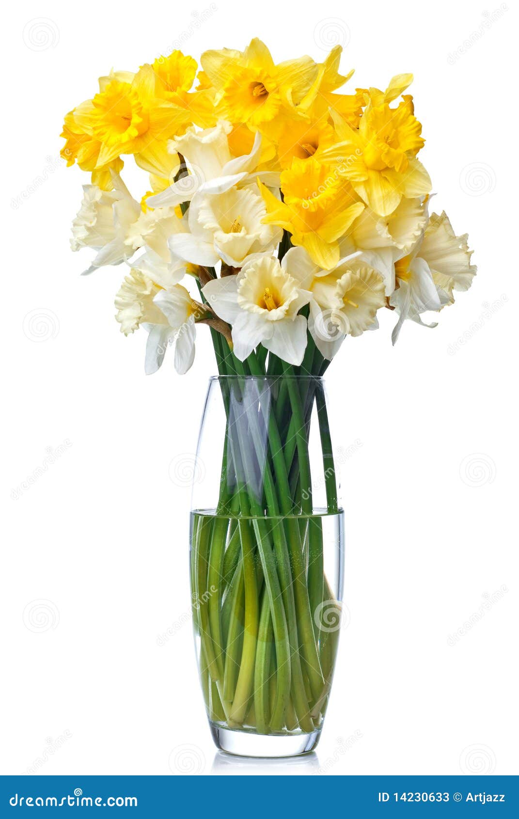 25,961 Narcissus Bouquet Stock Photos - Free & Royalty-Free Stock Photos  from Dreamstime
