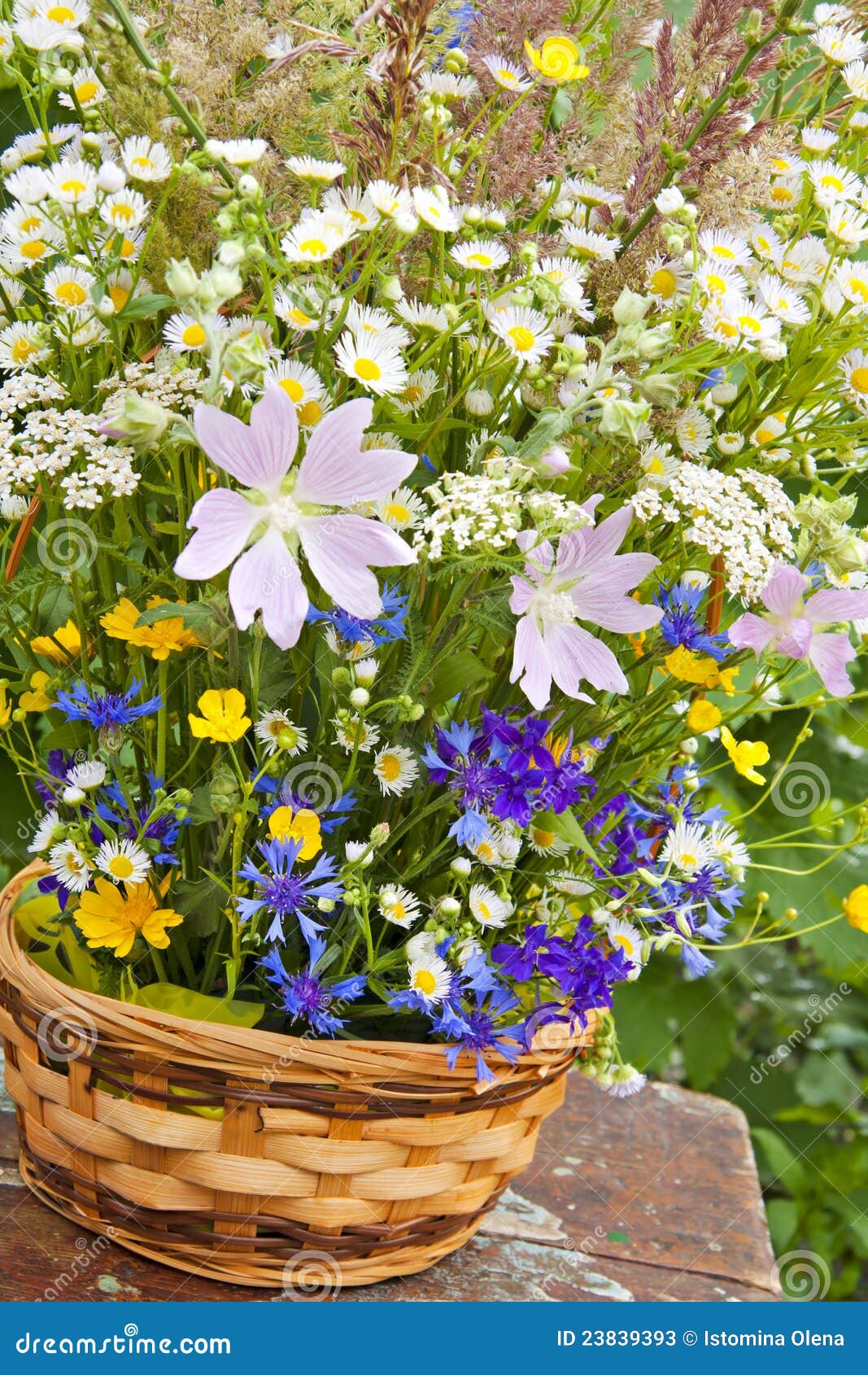 Bouquet of wild flowers stock image. Image of basket 23839393