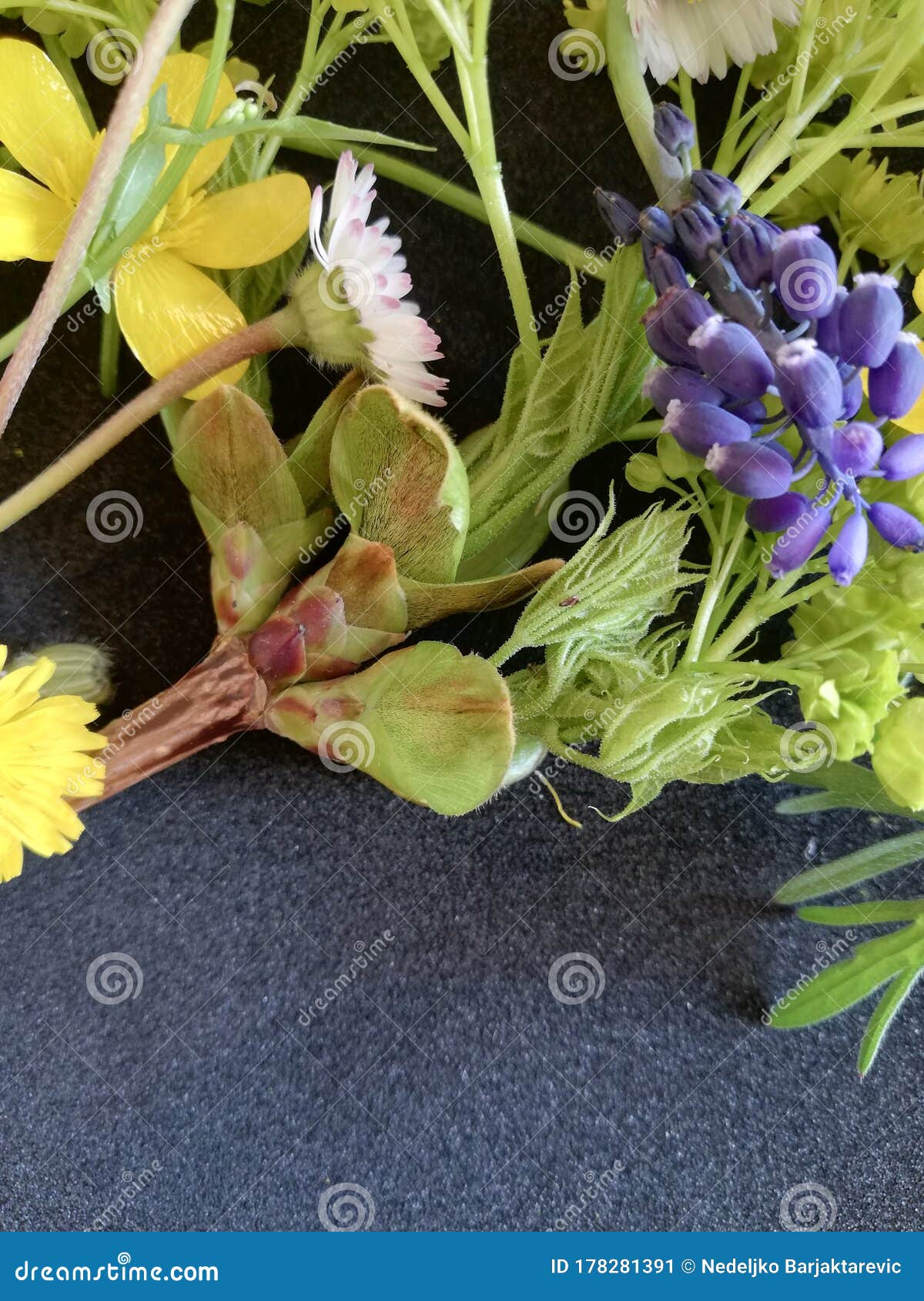 a bouquet of wild flowers yellow, white, purple, blue on a gray-black background spring flowers