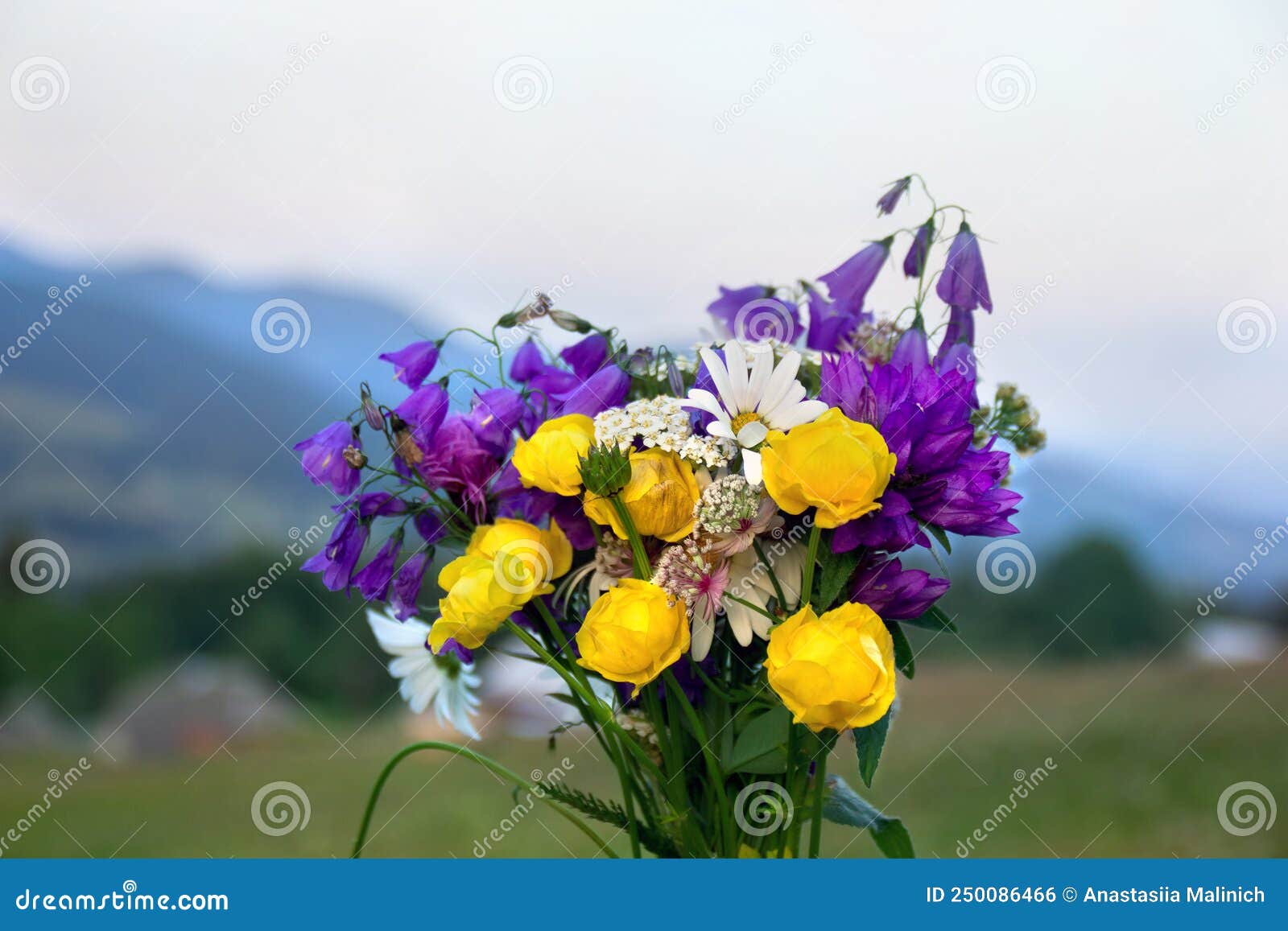 Bouquet of Wildflowers on Meadow in the Mountains in Summer Stock Photo