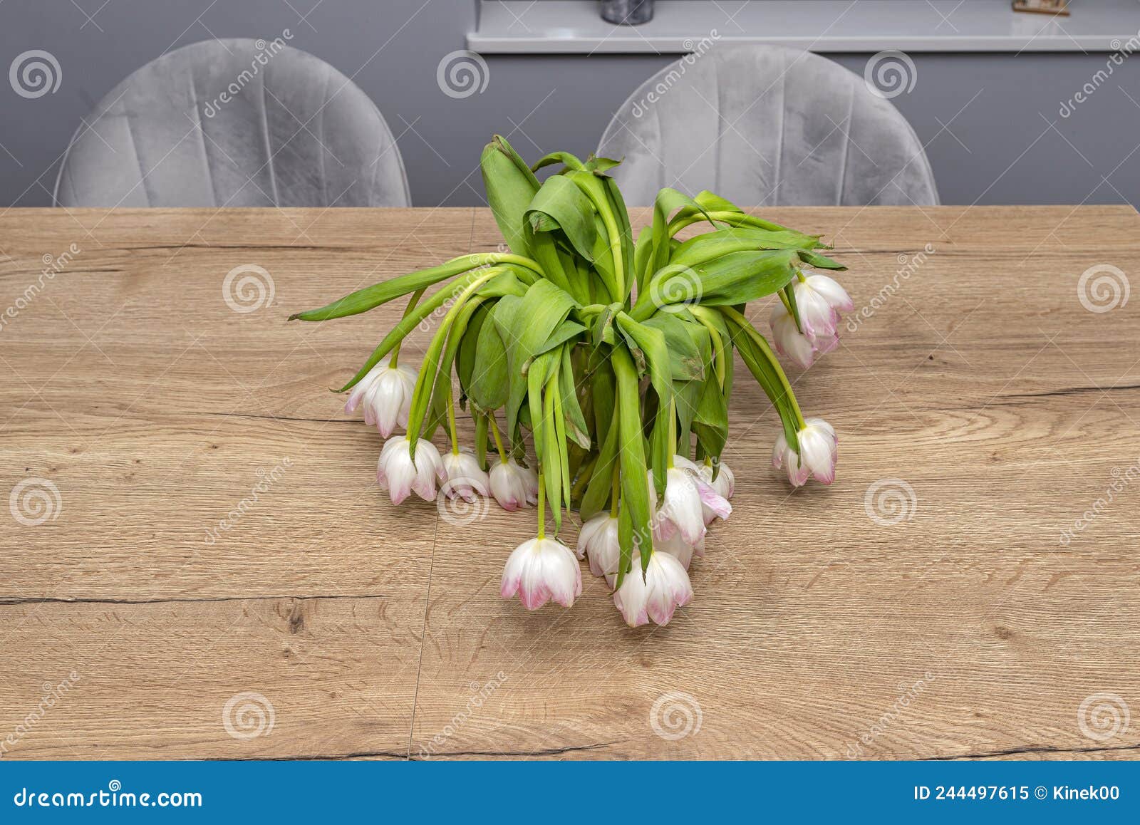A Bouquet of Wilted Purple Tulips Standing in a Vase on the Table